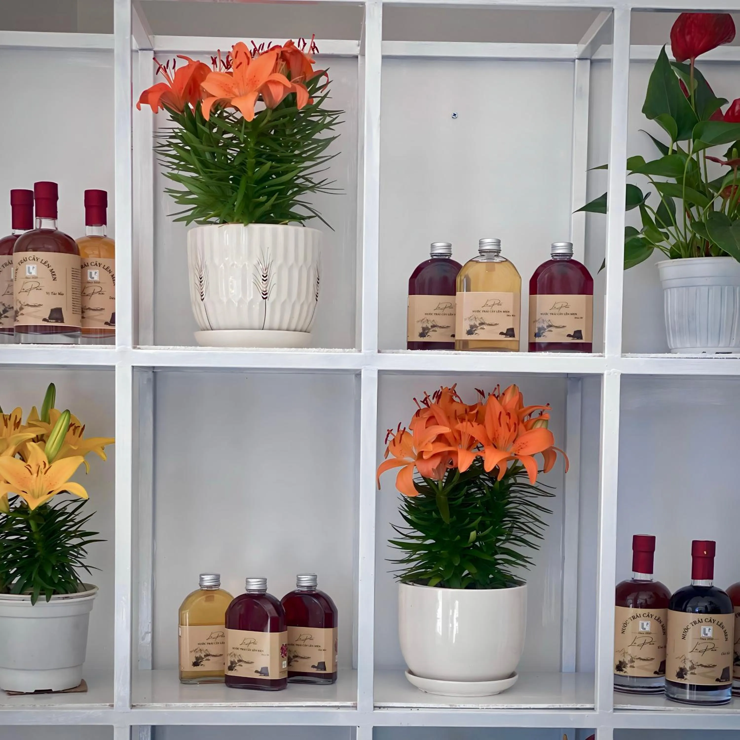 Lobby or reception in Tường Vy Dalat Central