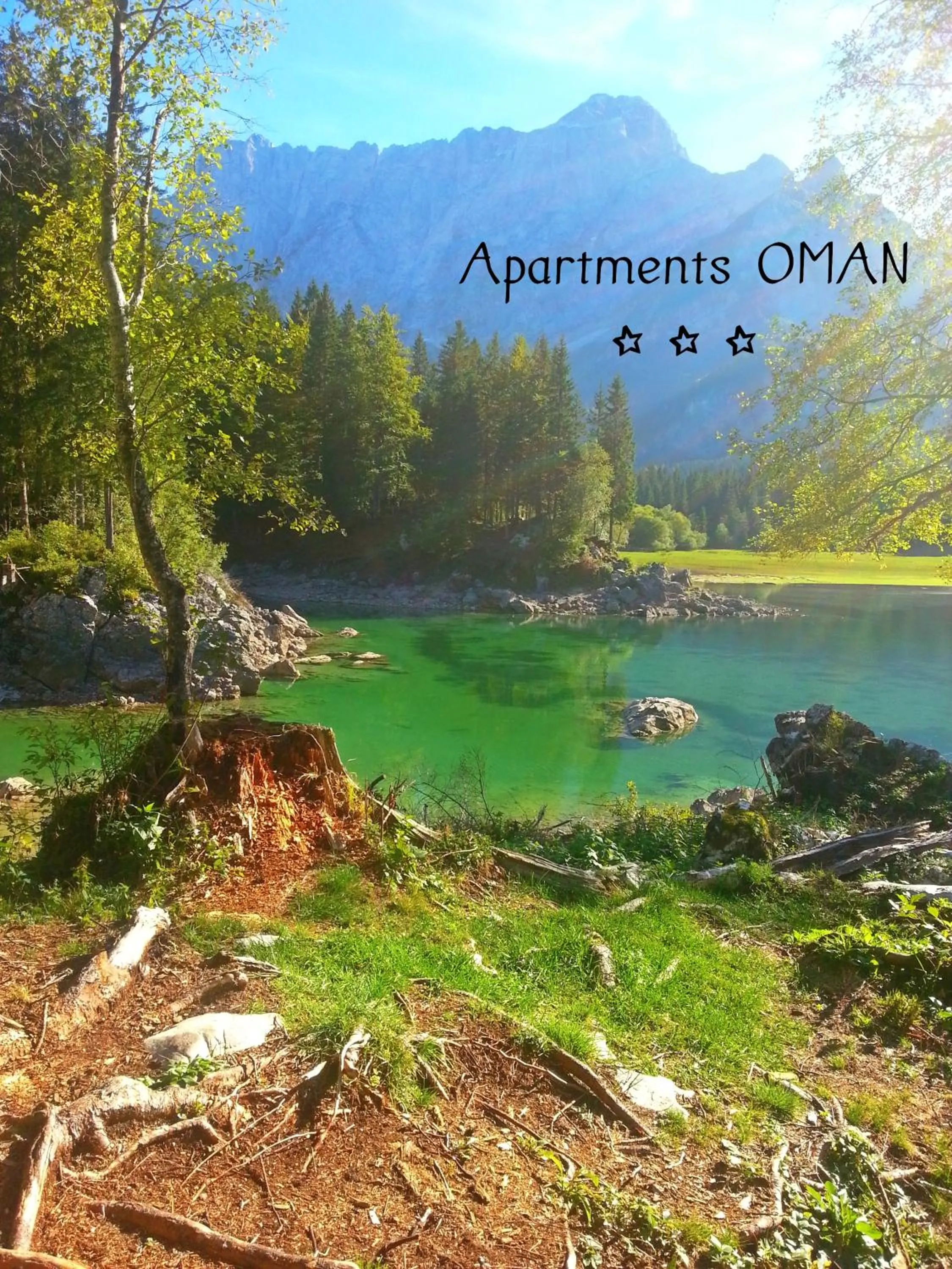 Other in Apartments Oman