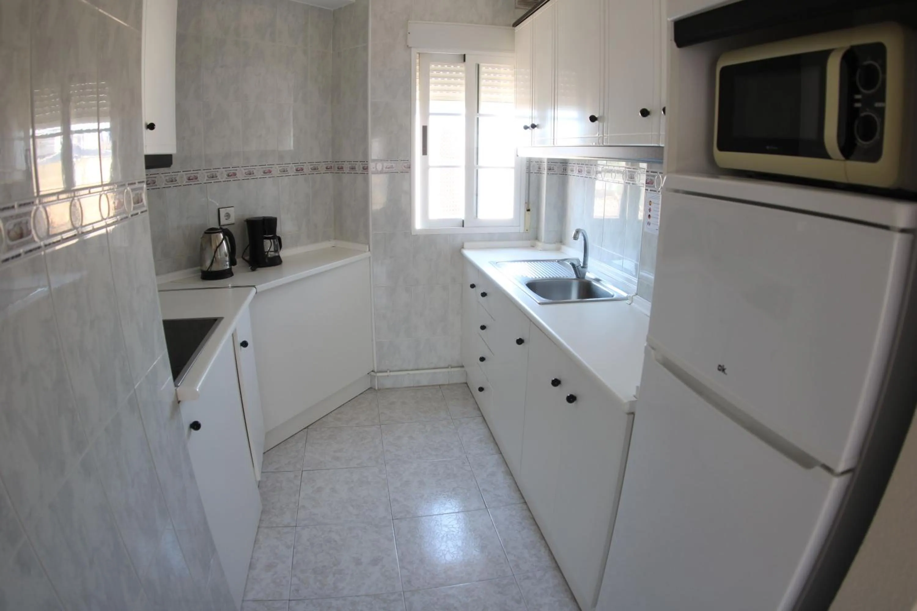 pet friendly in Apartamentos Marina Internacional