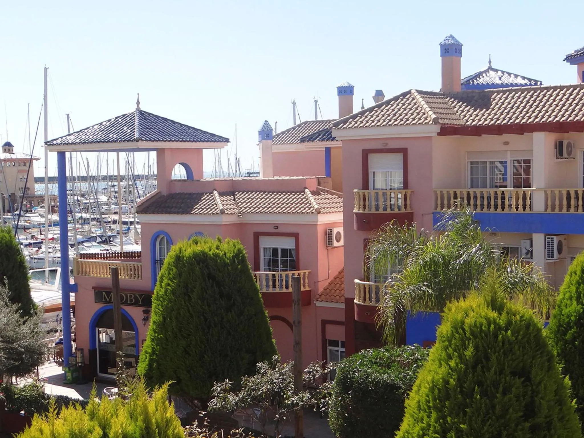 Area and facilities in Apartamentos Marina Internacional