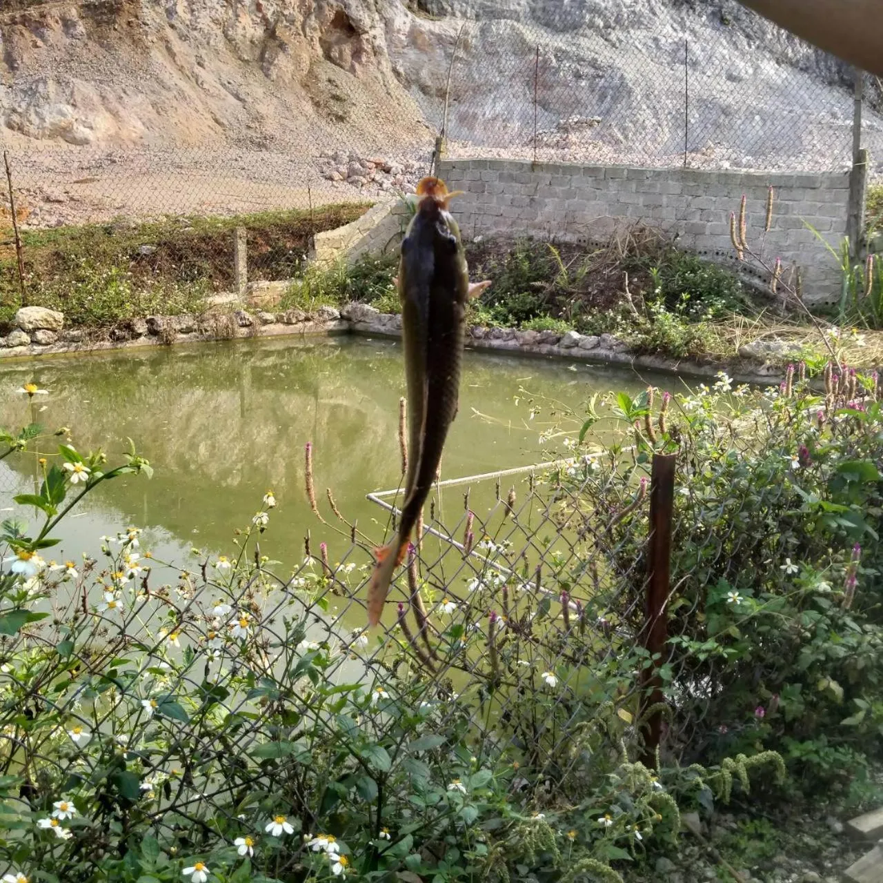 Fishing in Retreat Home Bản Dọi Mộc Châu