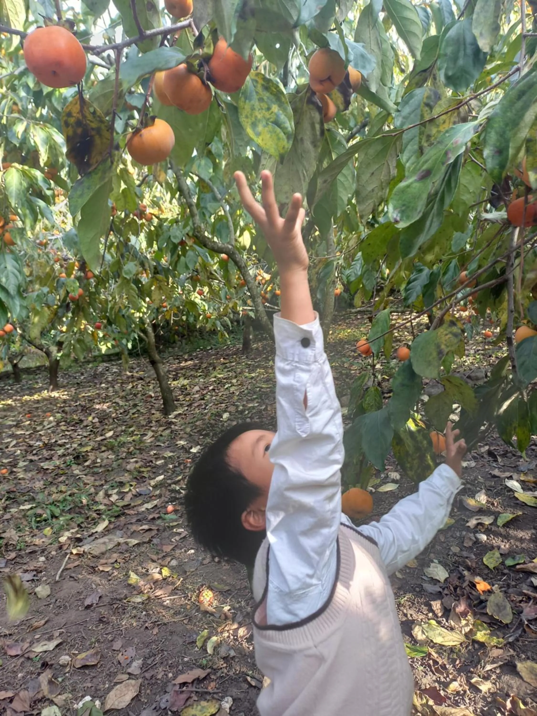 Neighbourhood in Retreat Home Bản Dọi Mộc Châu