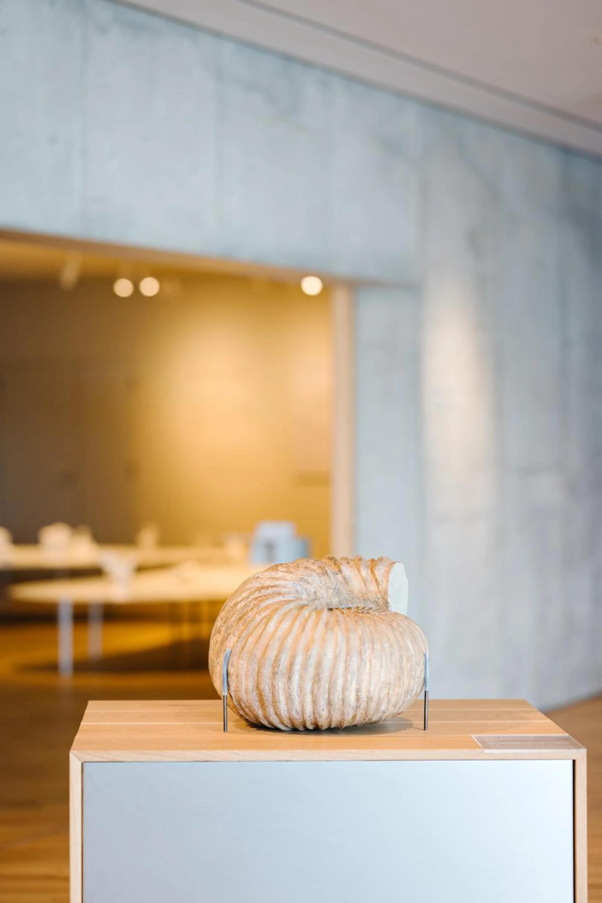 Area and facilities in Entô