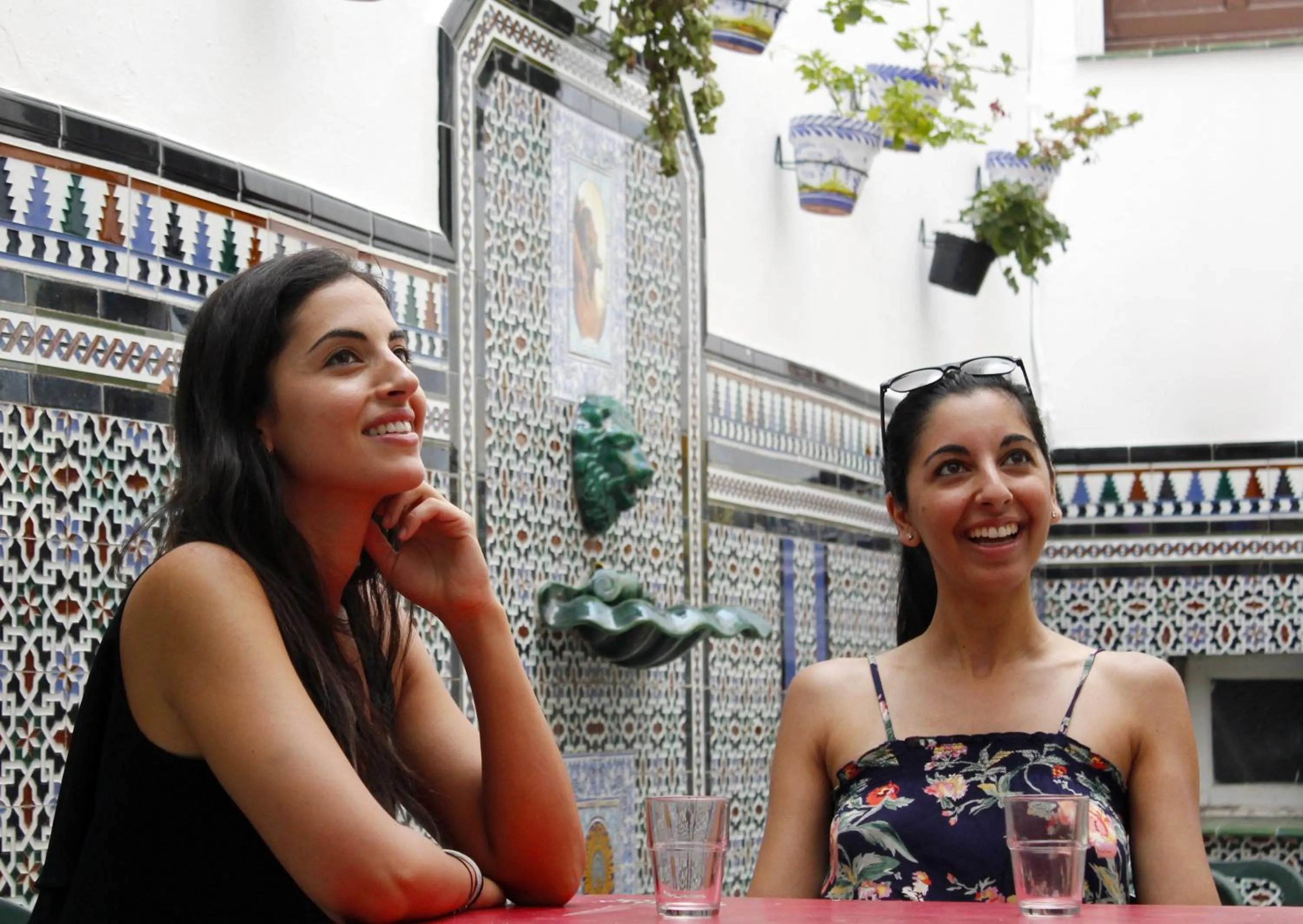 Garden in SevillaDream