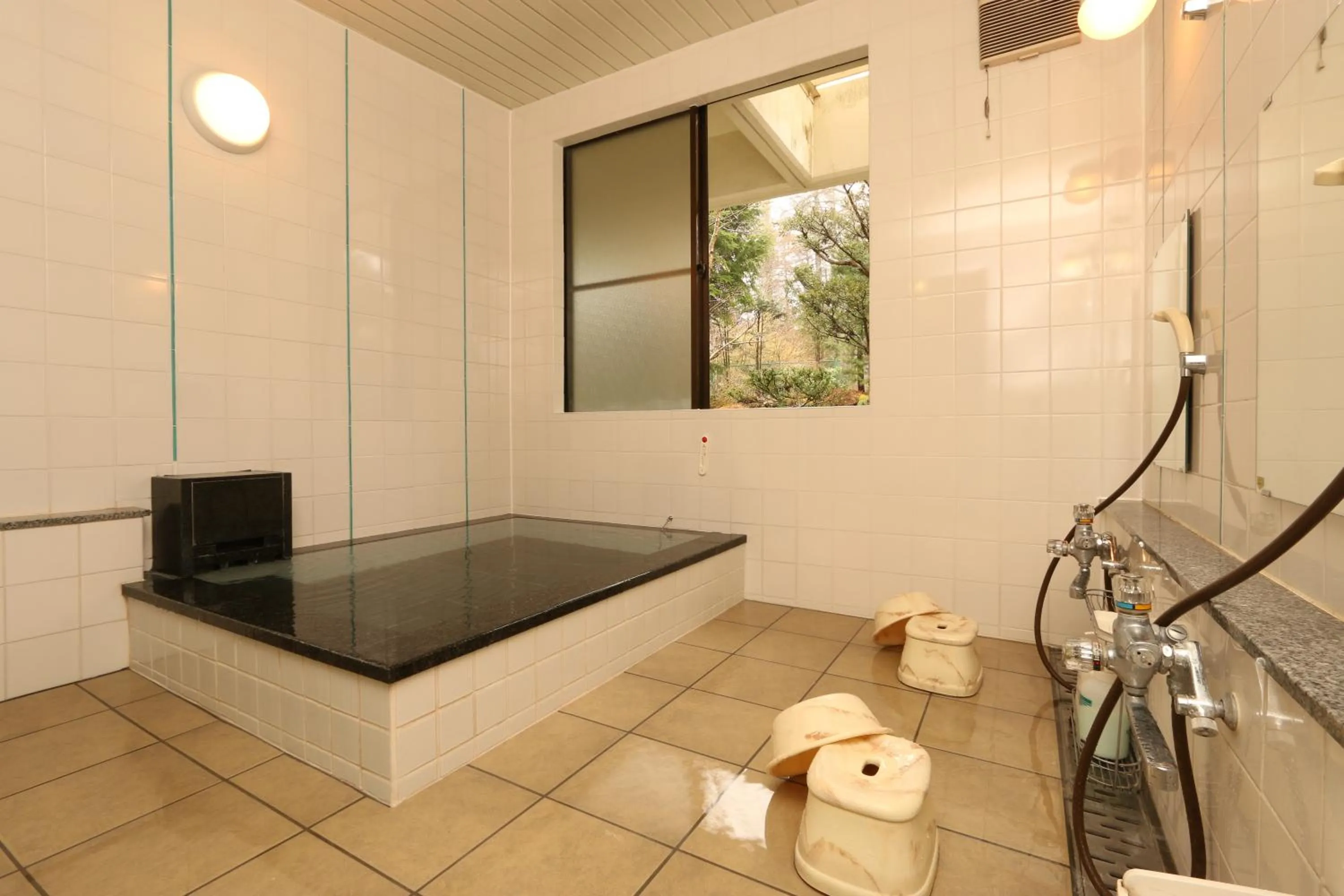 Other in Teiensaryo Yamanakako