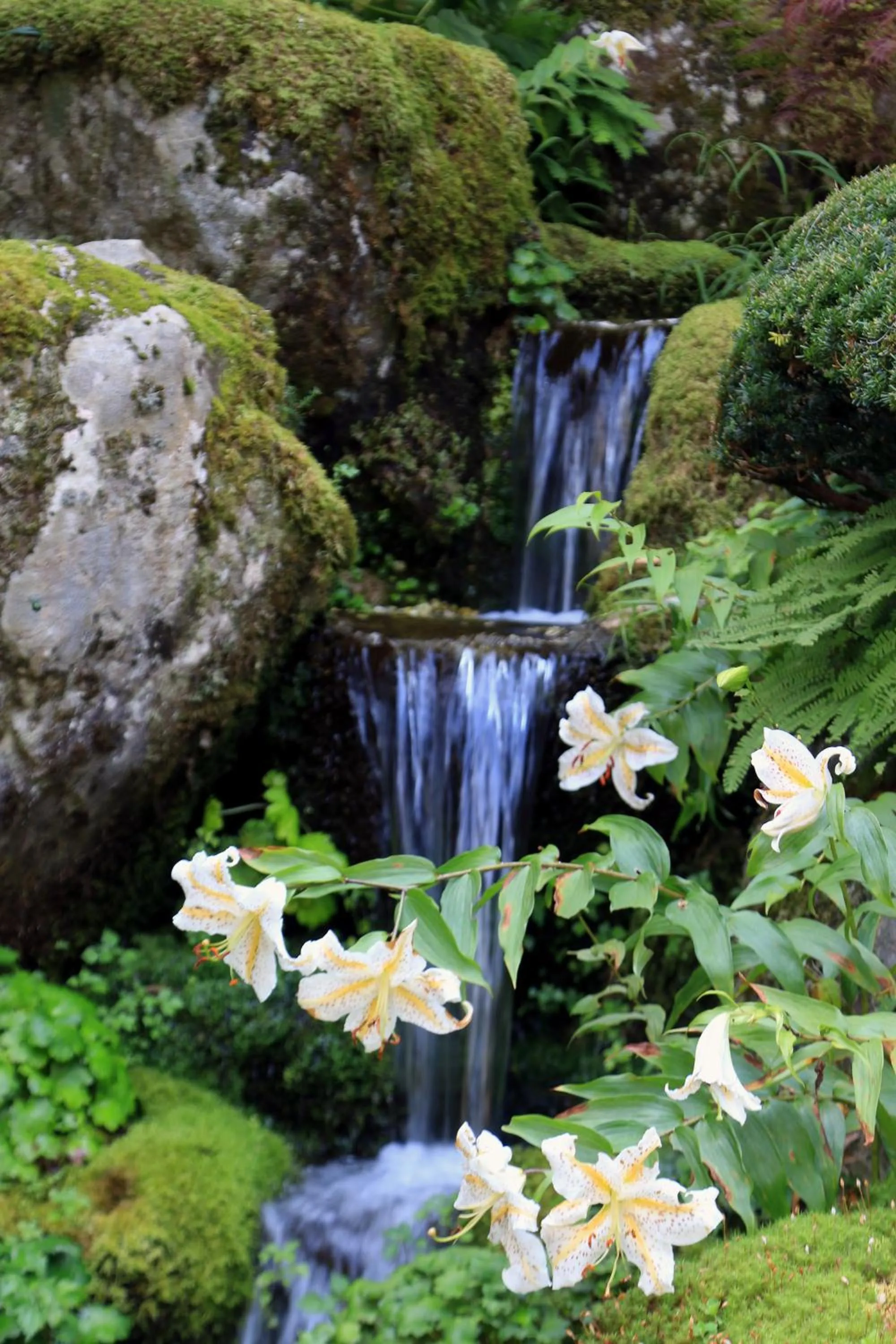Garden view in Teiensaryo Yamanakako
