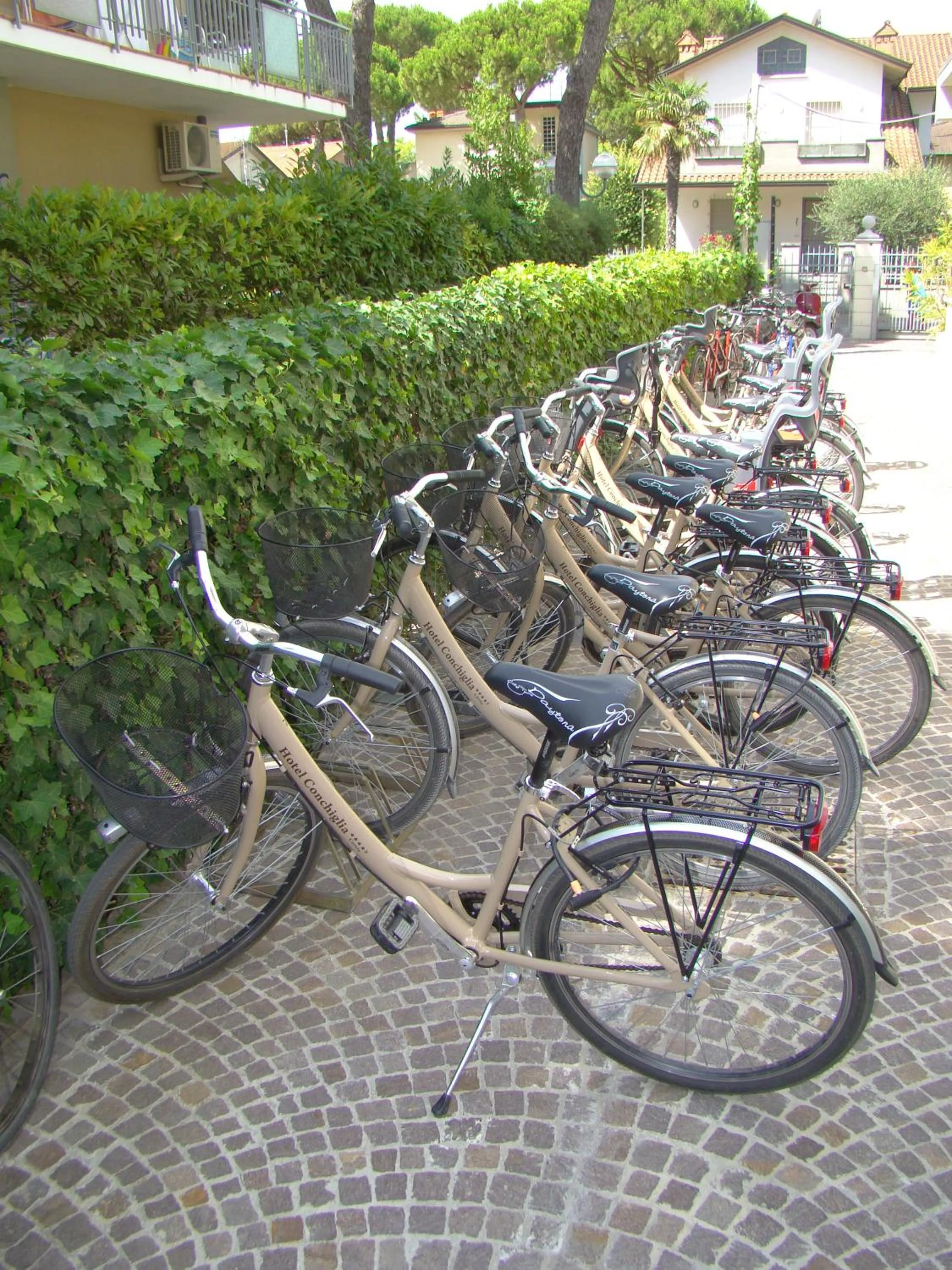 Cycling in Hotel Conchiglia
