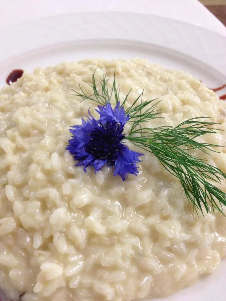 Food and drinks in Hotel Conchiglia