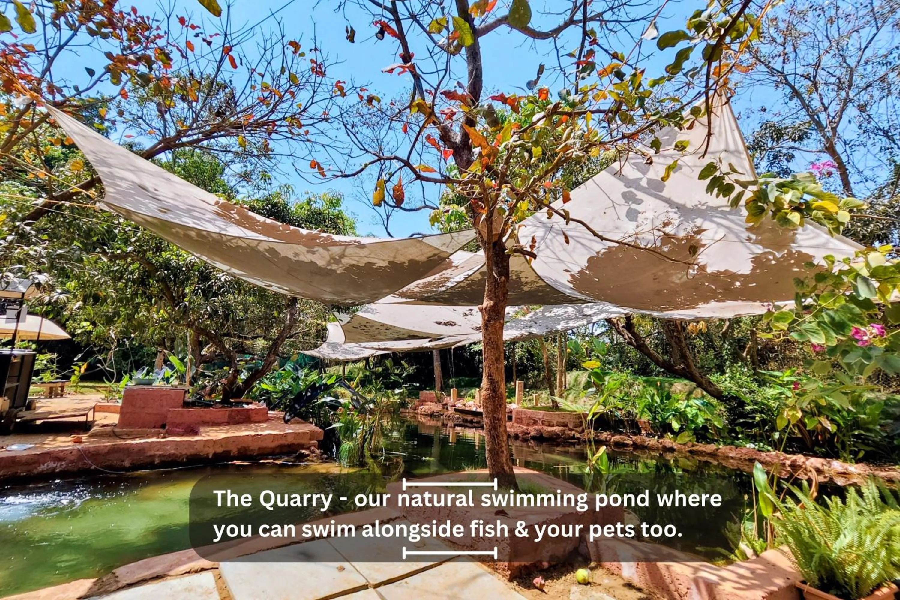 Swimming pool in Circle