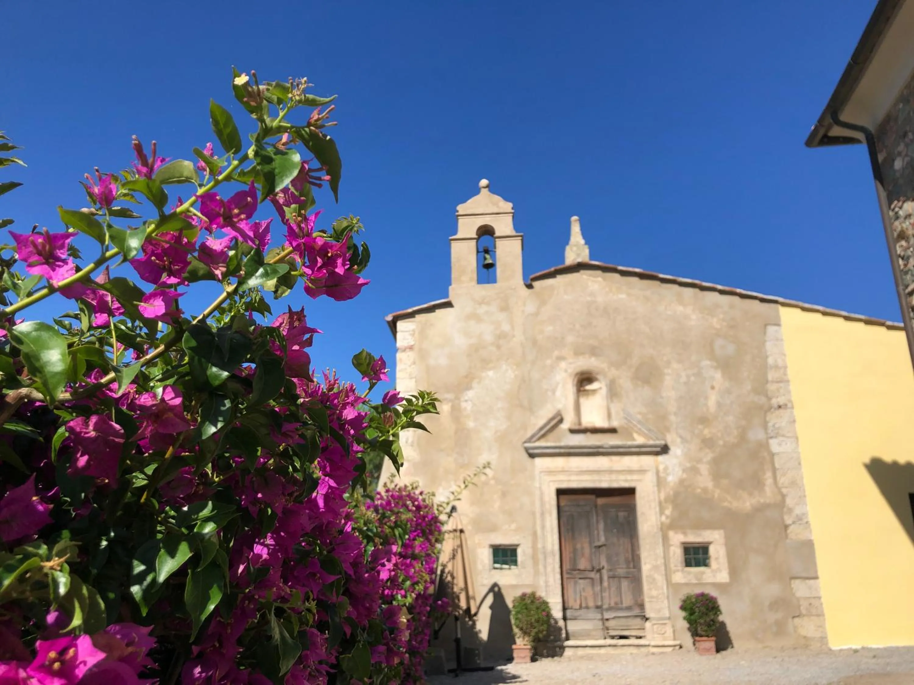 San Cerbone