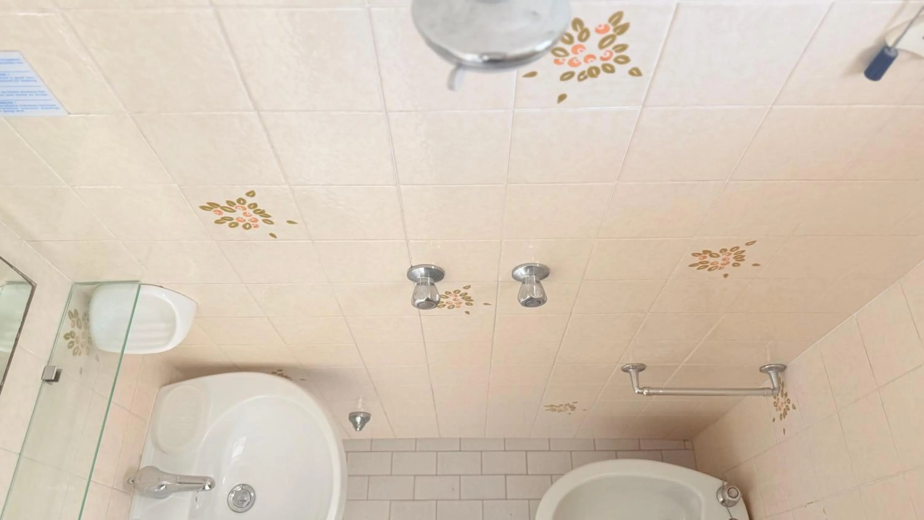 Shower in Hotel Ardesia