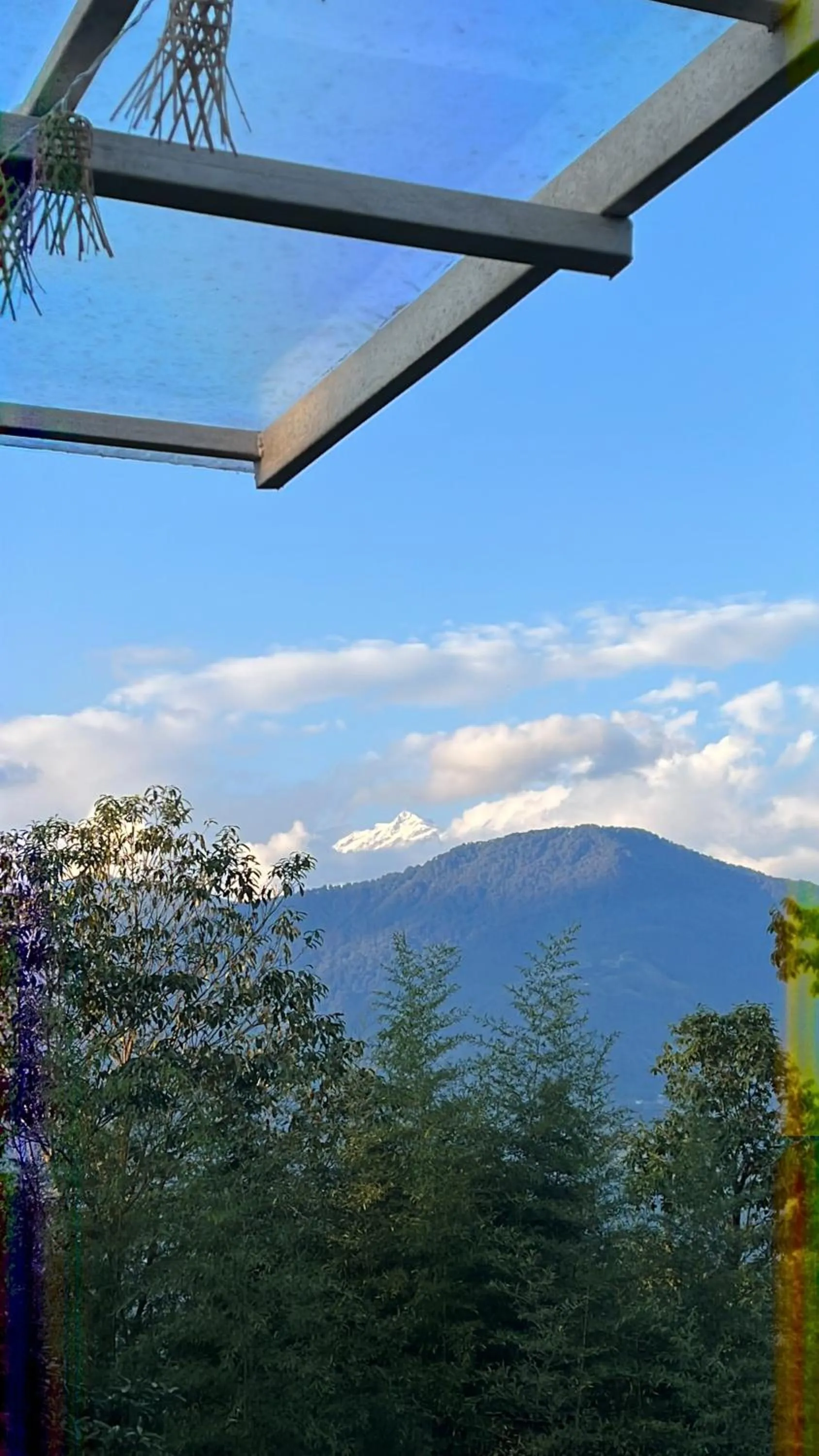 Mountain view in The Nettle and Fern Farmstay