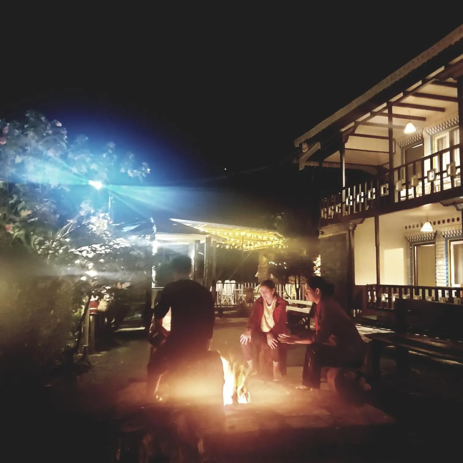 Night in The Nettle and Fern Farmstay