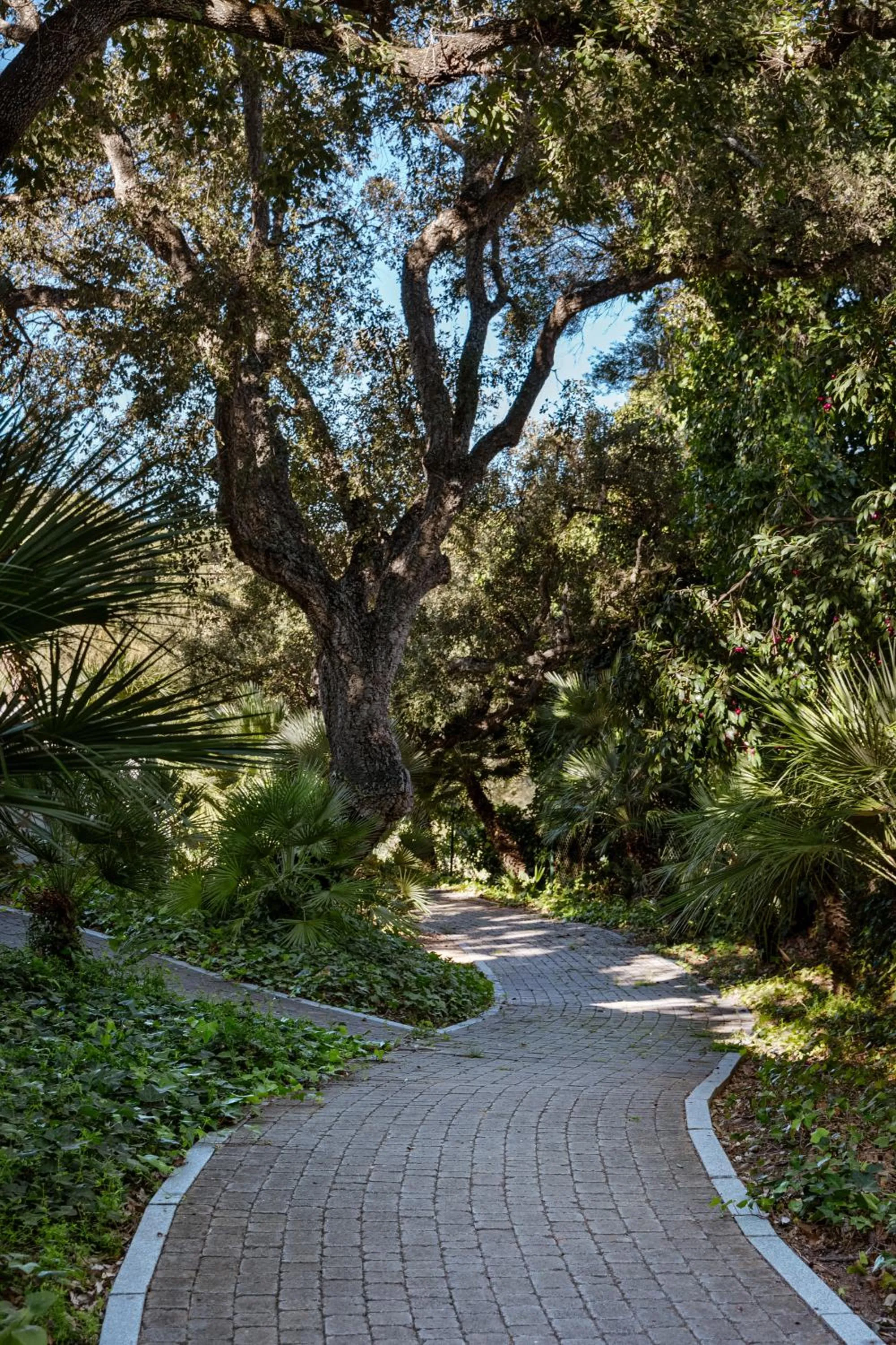 Natural landscape in Hotel Encinar de Sotogrande