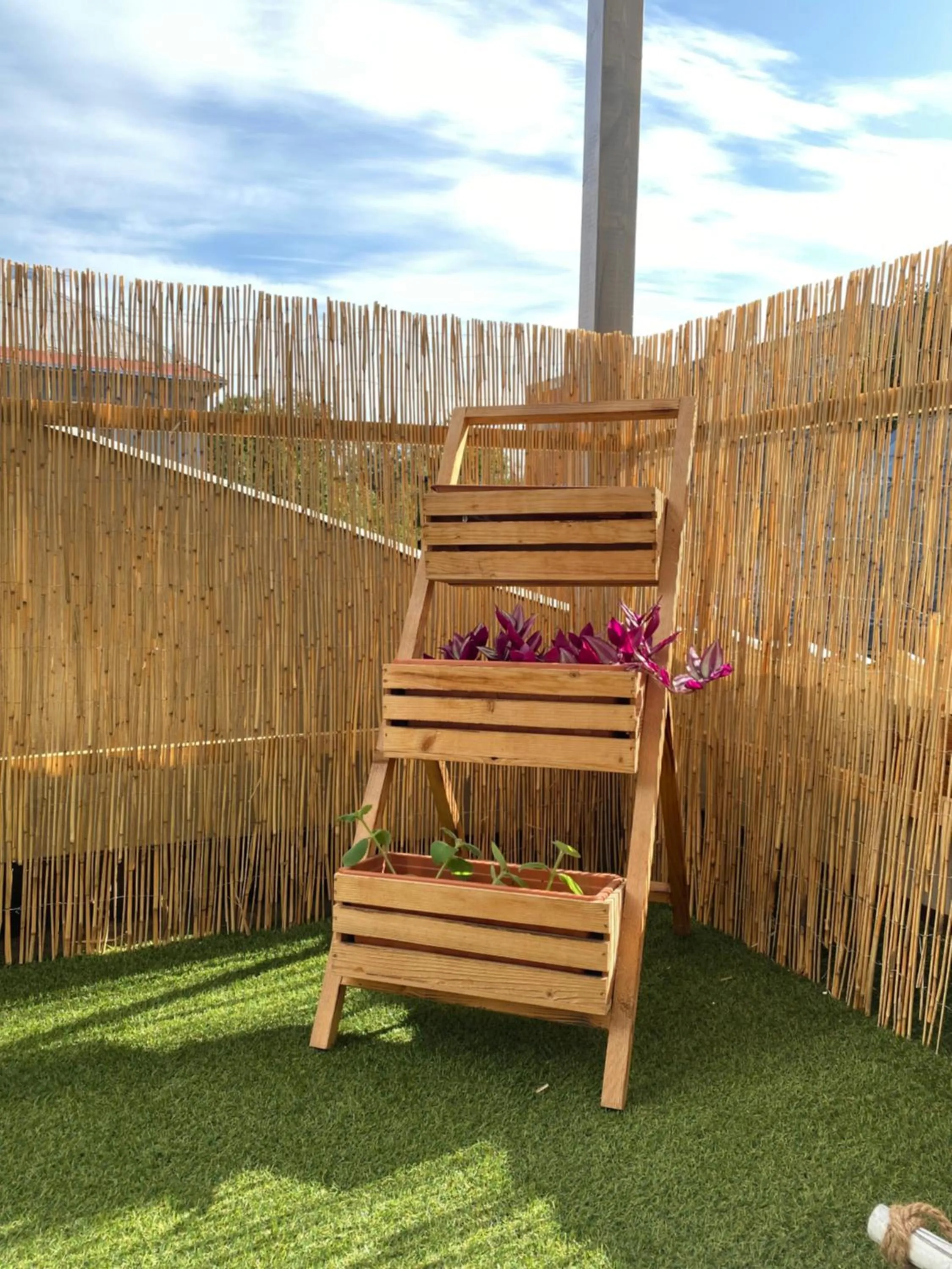 Garden in Central Apartments