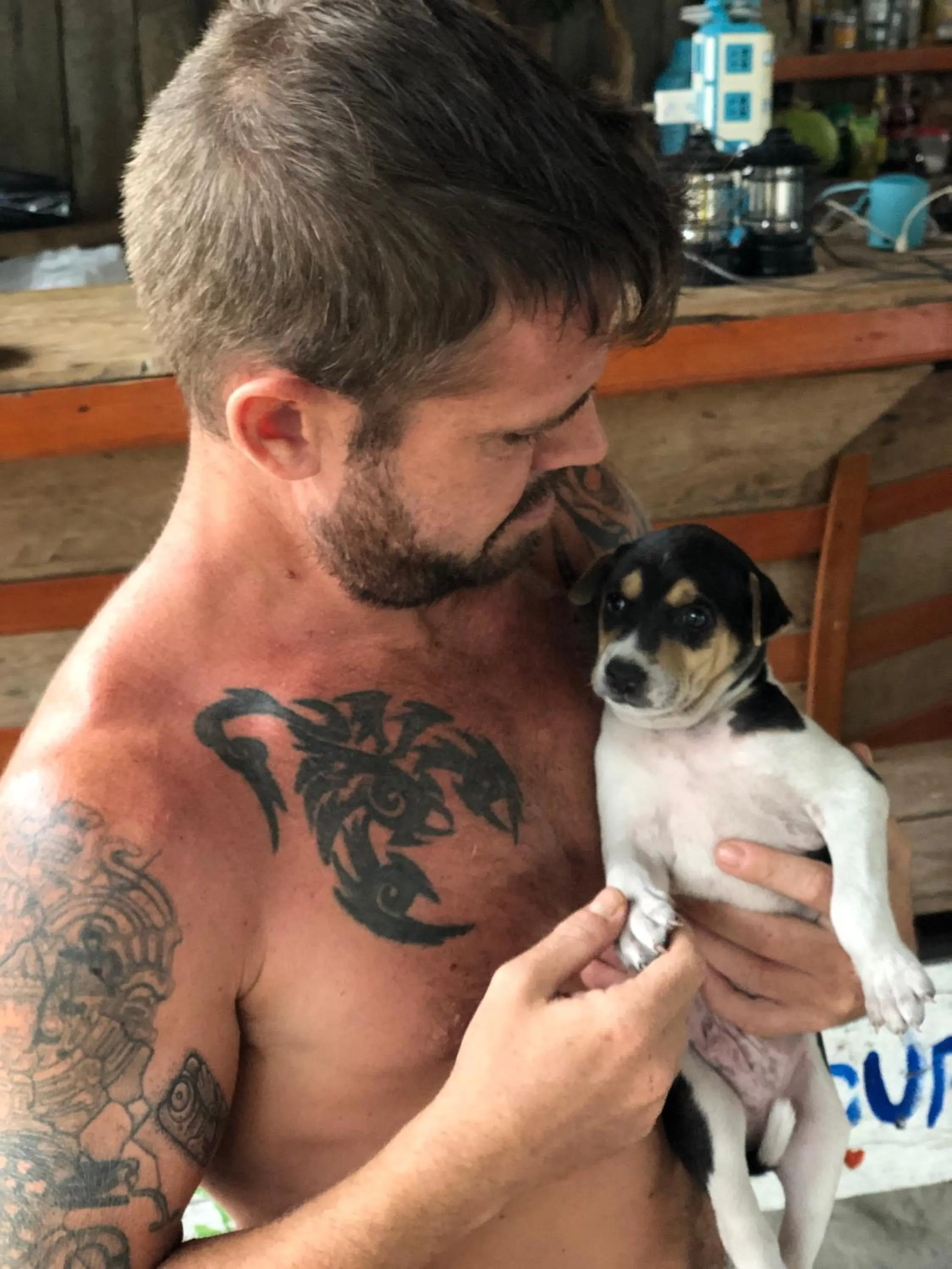 Pets in The Last Point Koh Takiev