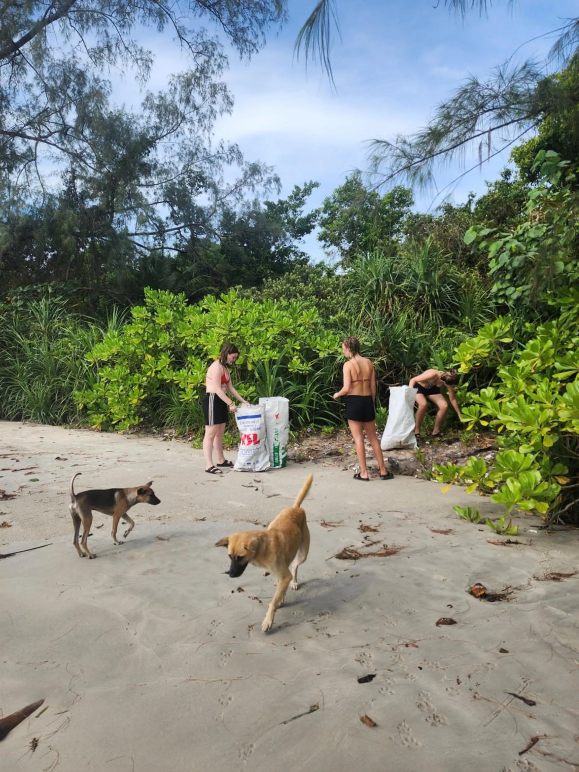 Natural landscape in The Last Point Koh Takiev