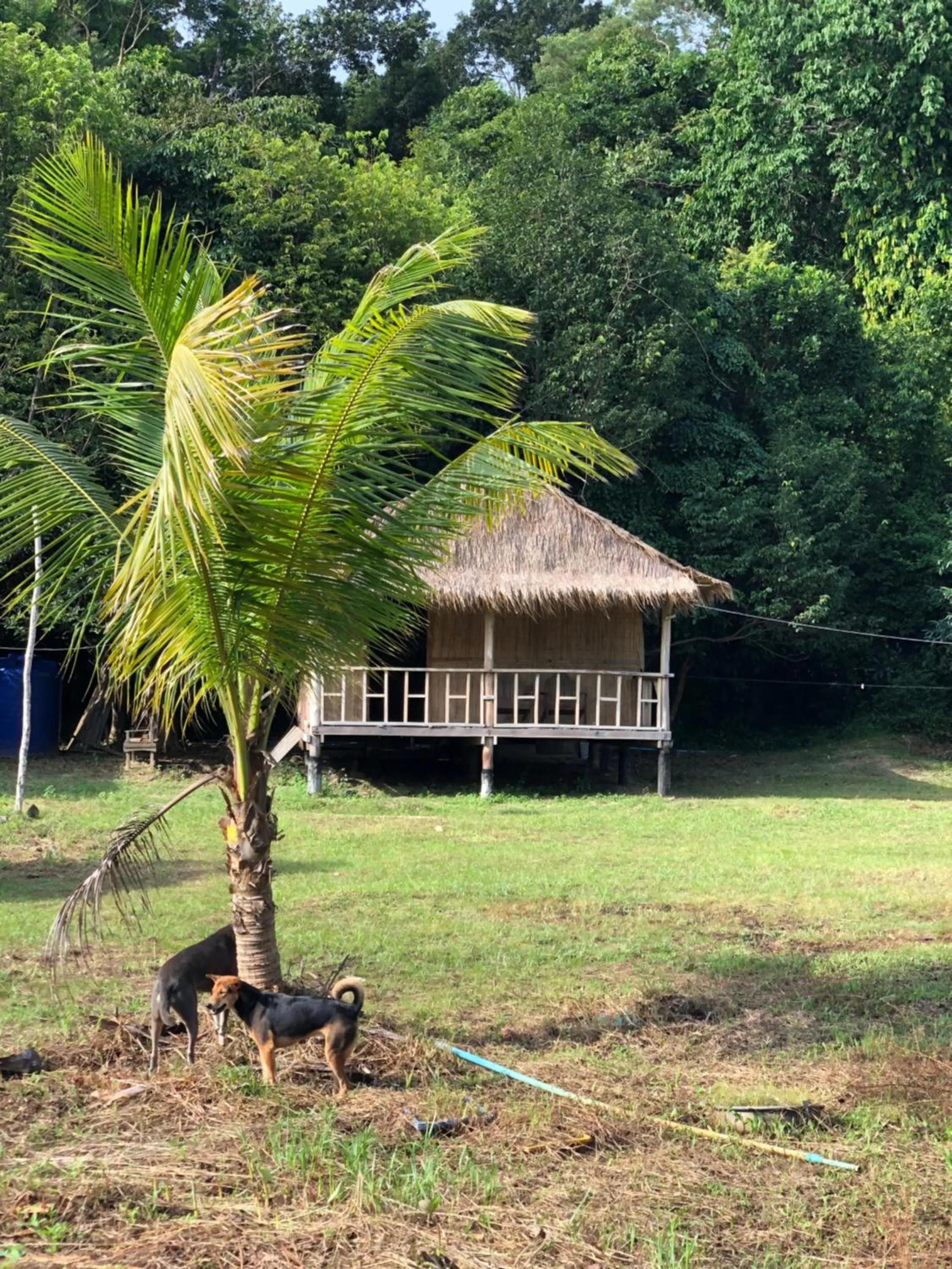 Garden view in The Last Point Koh Takiev