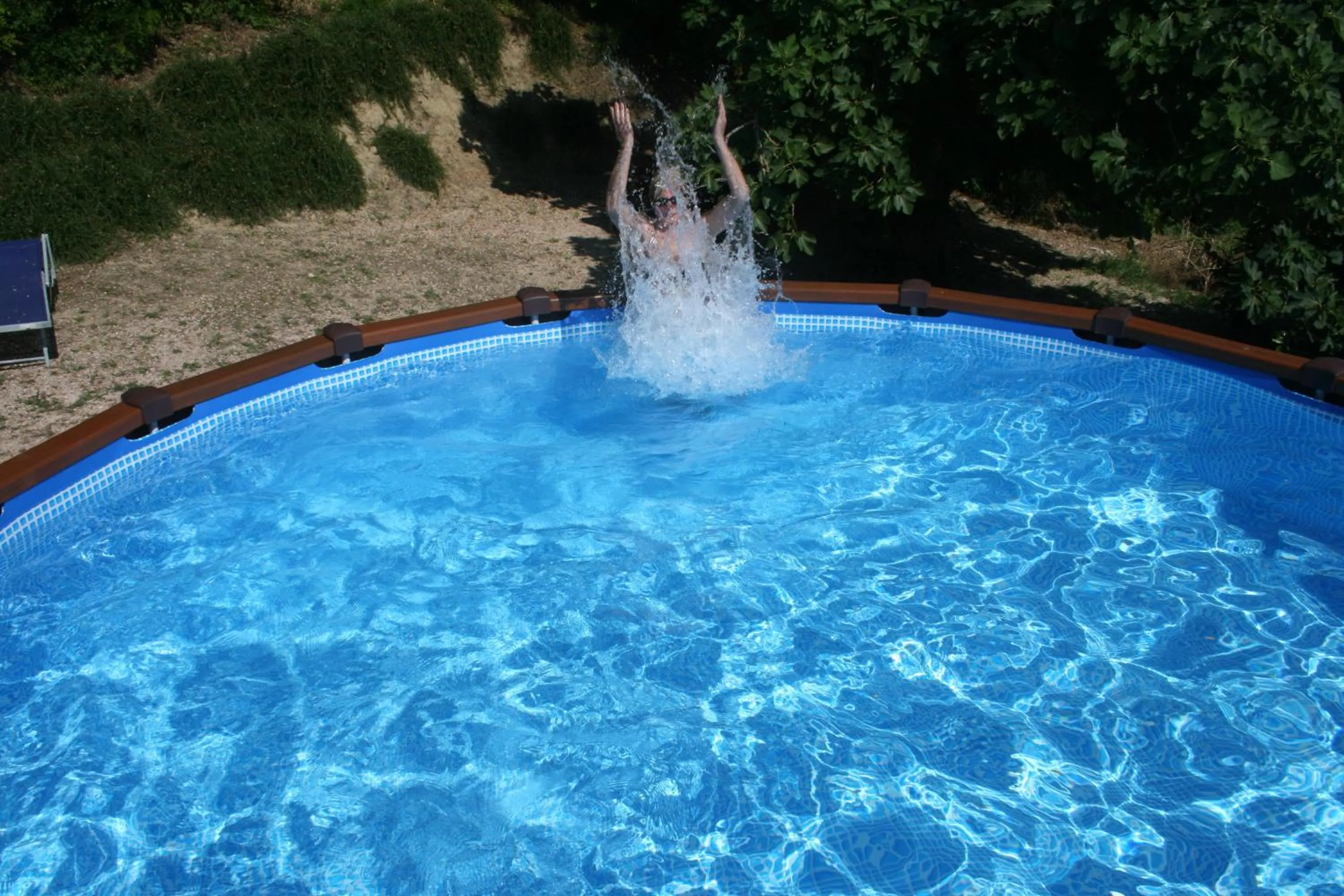 Swimming pool in B&B La Fenice