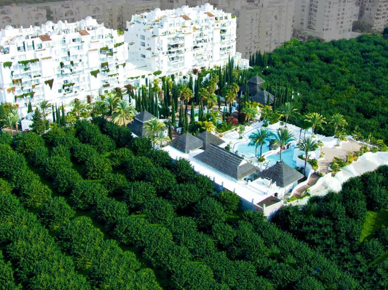 Off site in Hotel Suites Albayzin Del Mar