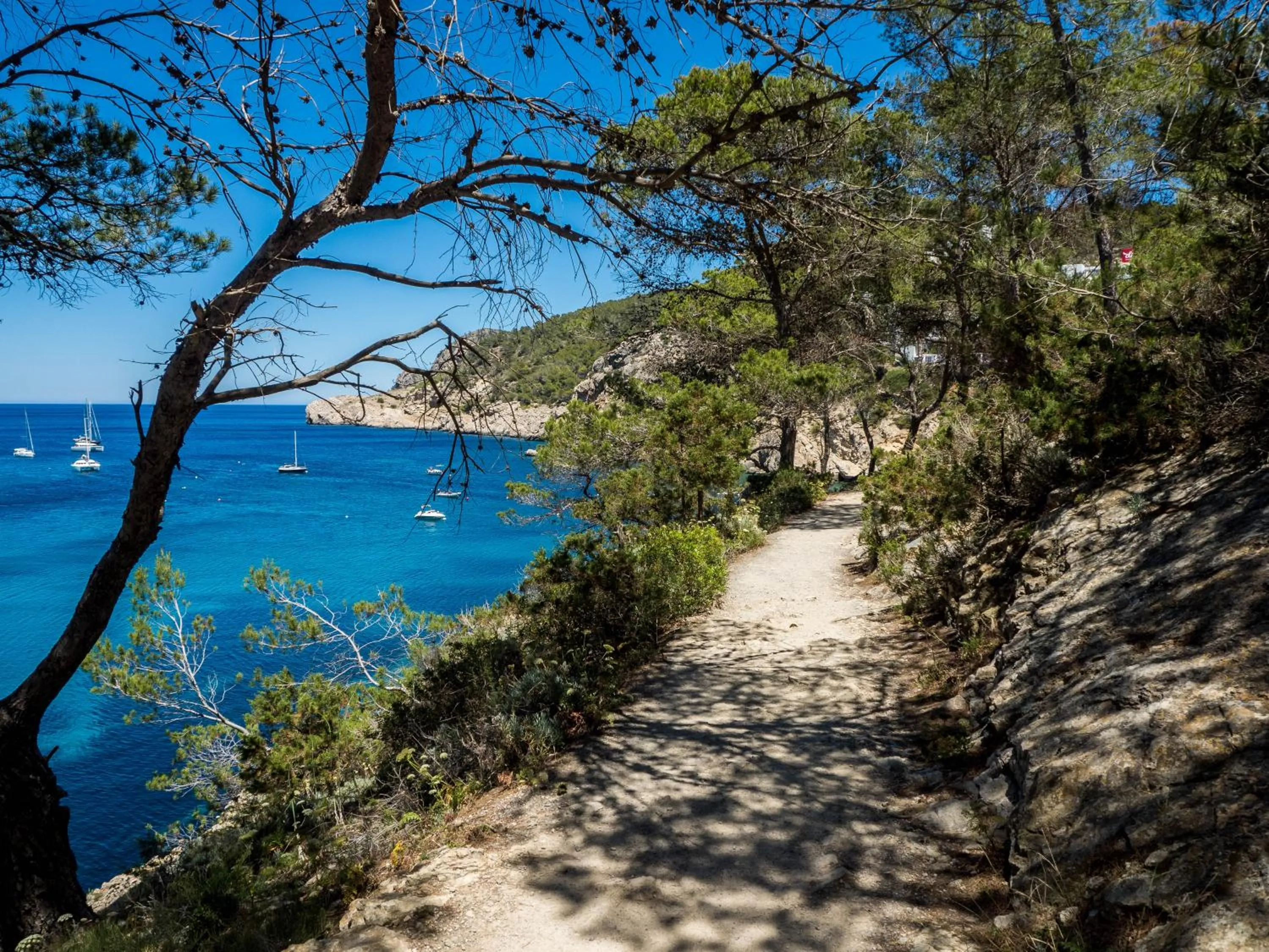 Natural landscape in Apartamentos San Miguel Park & Esmeralda Mar