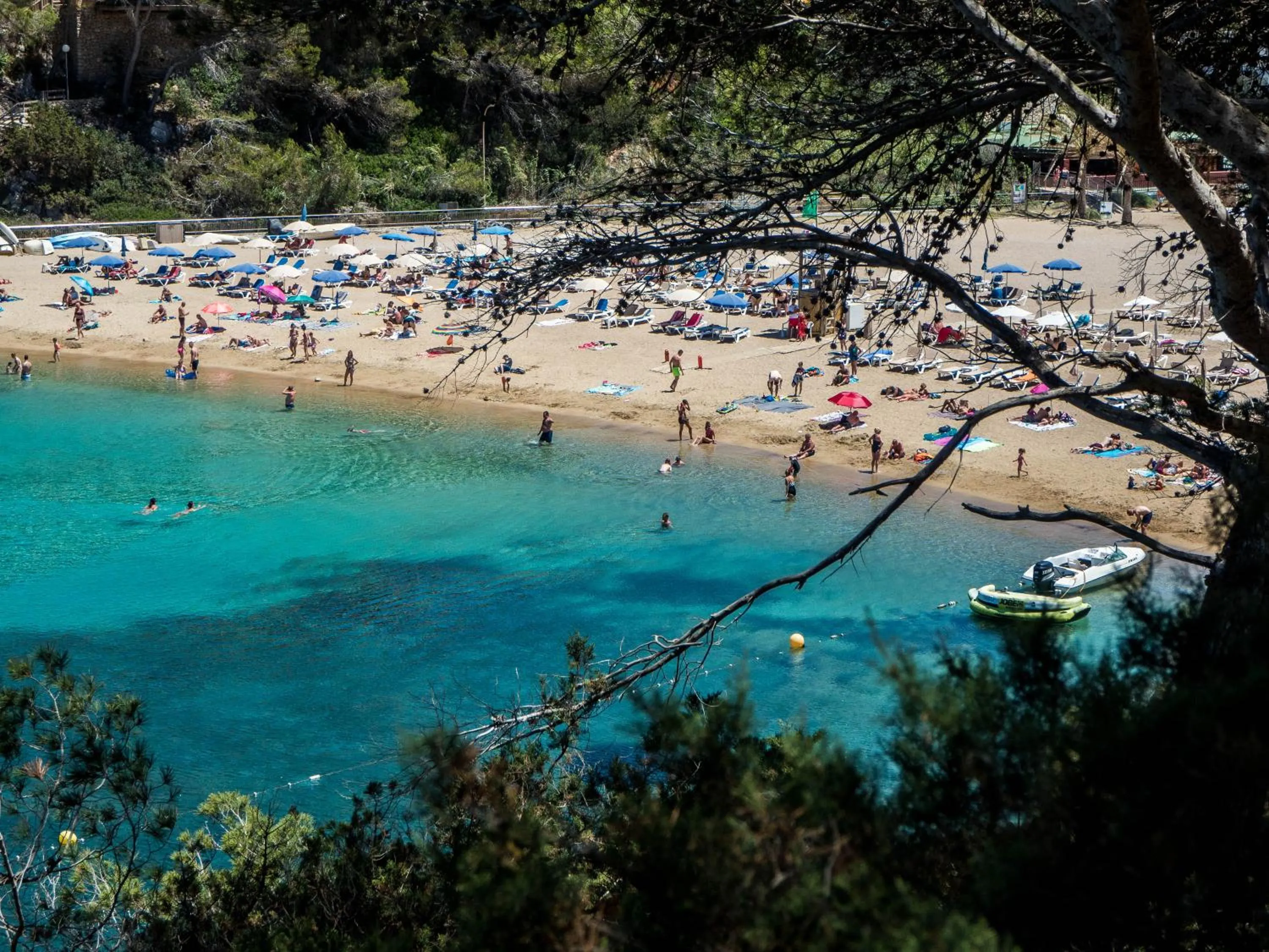 Beach in Apartamentos San Miguel Park & Esmeralda Mar