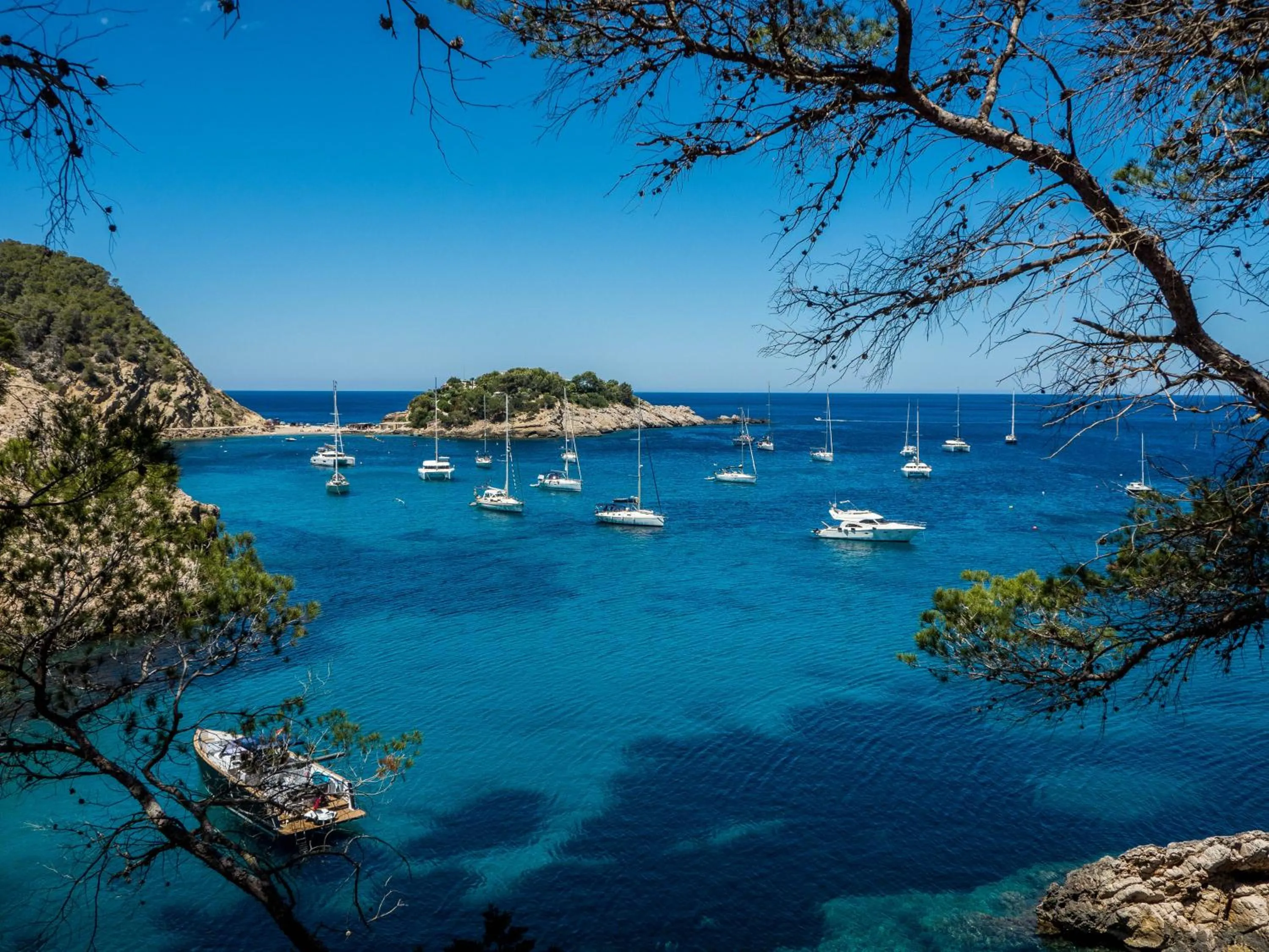 Beach in Apartamentos San Miguel Park & Esmeralda Mar