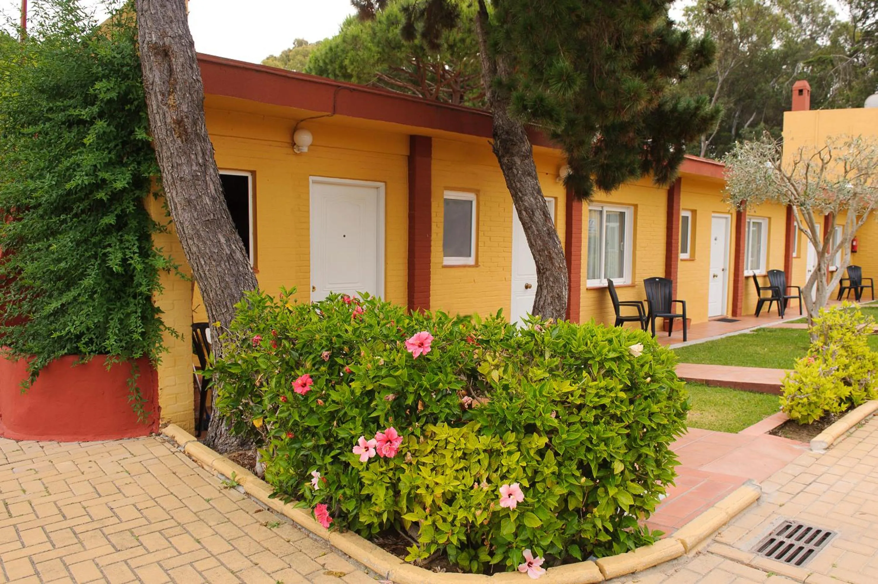 Garden in Hotel Dunas Puerto