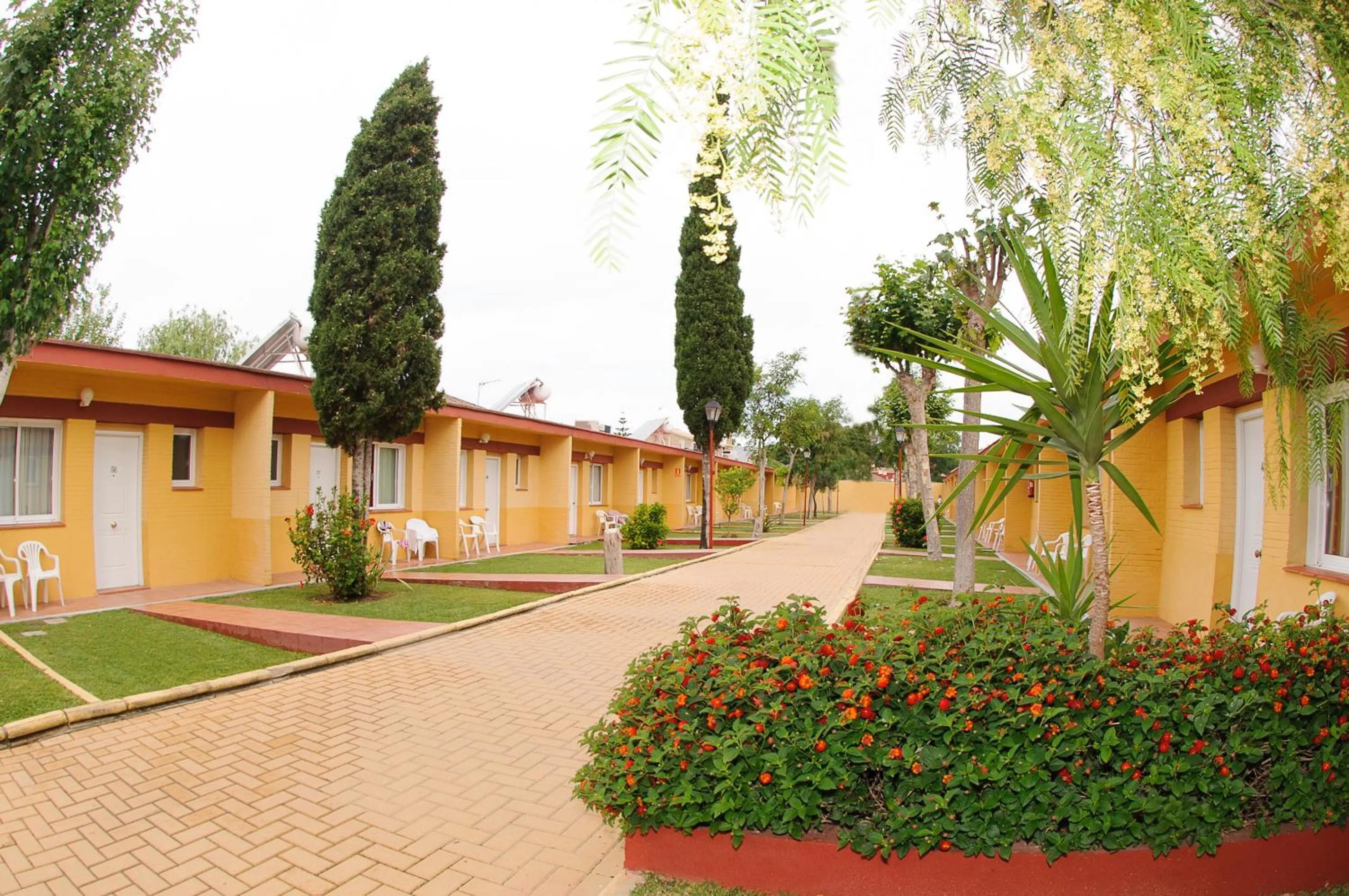 Garden in Hotel Dunas Puerto