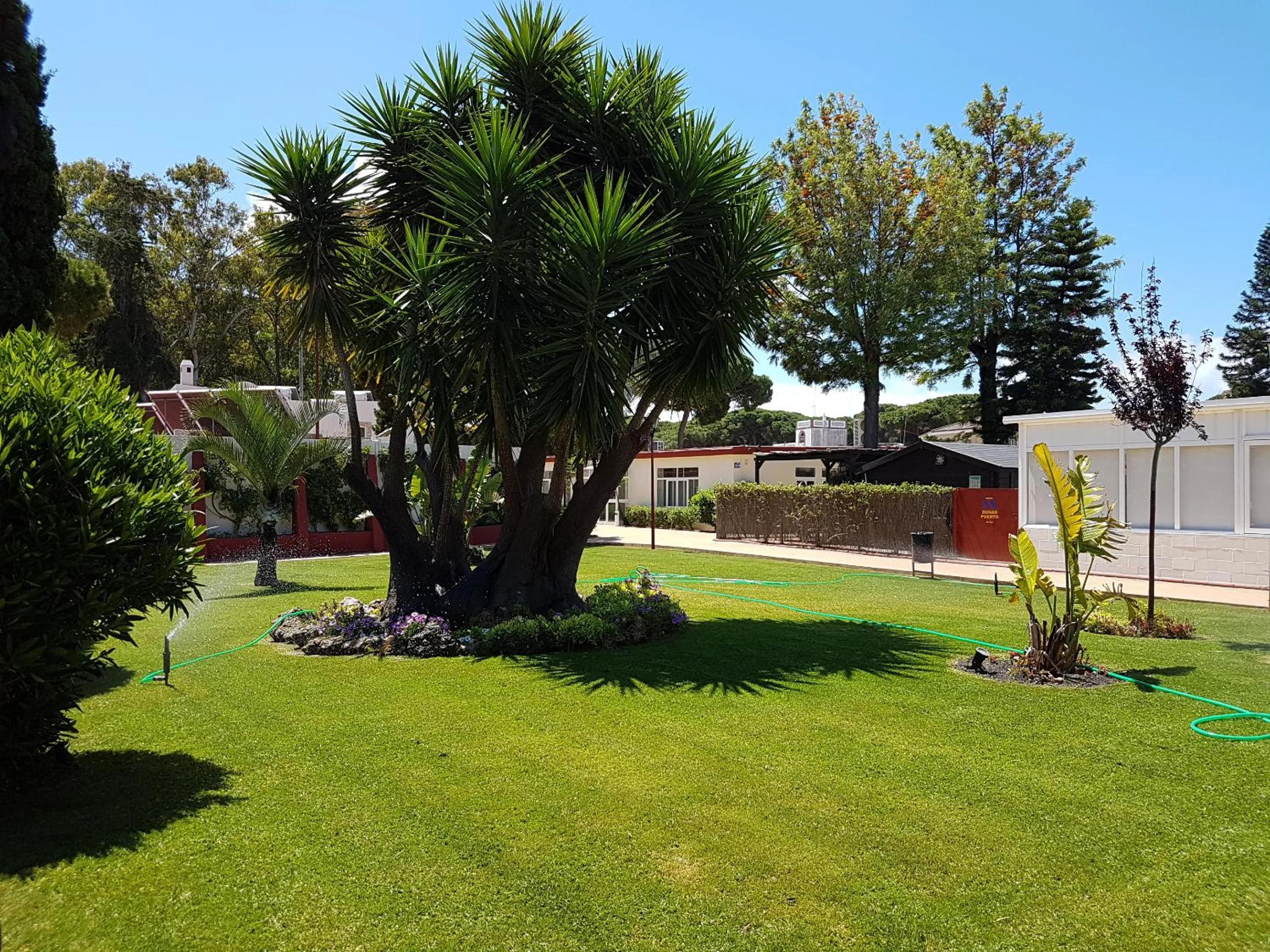 Area and facilities in Hotel Dunas Puerto