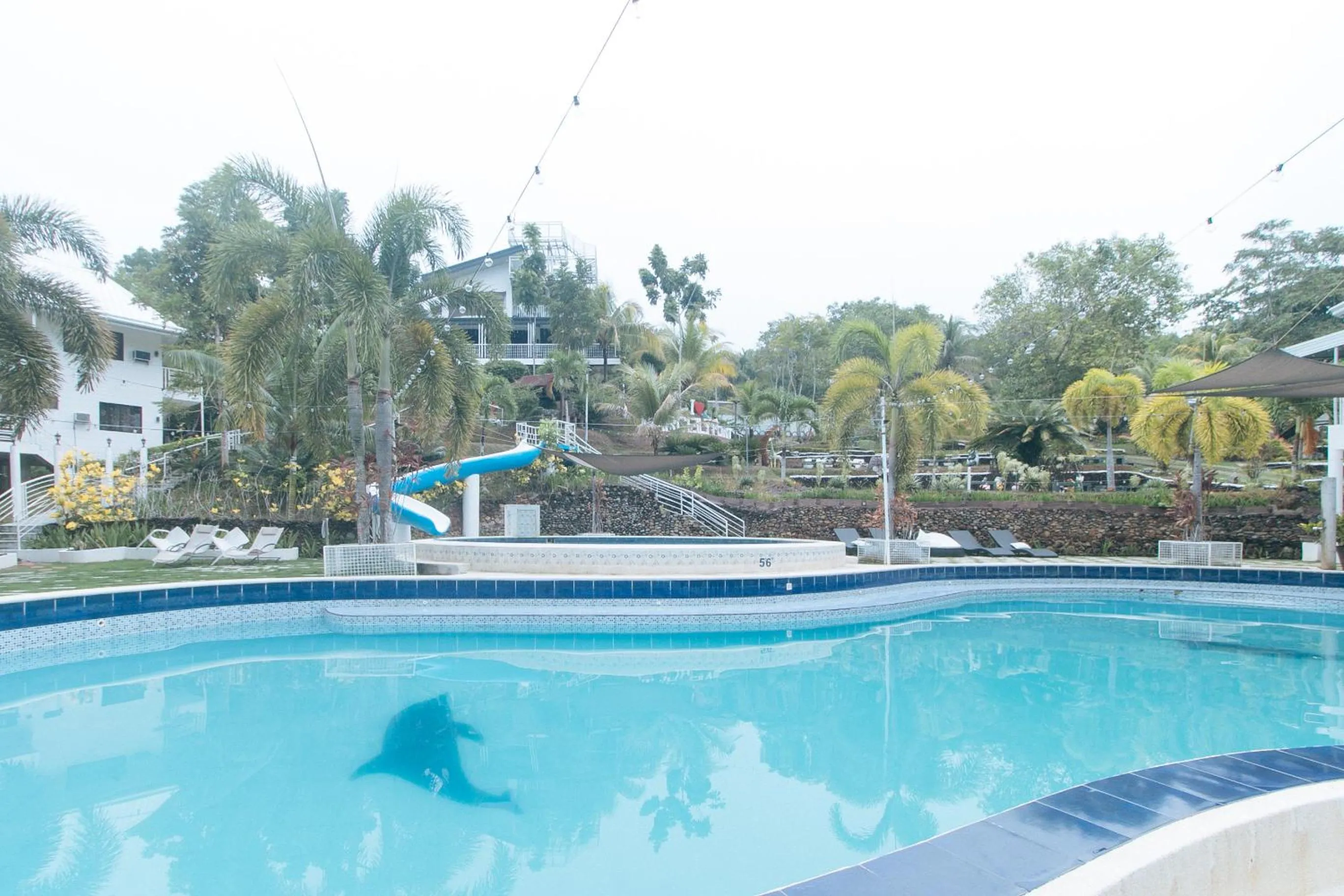 Swimming pool in RedDoorz @ Marceily Point Resort Guimaras