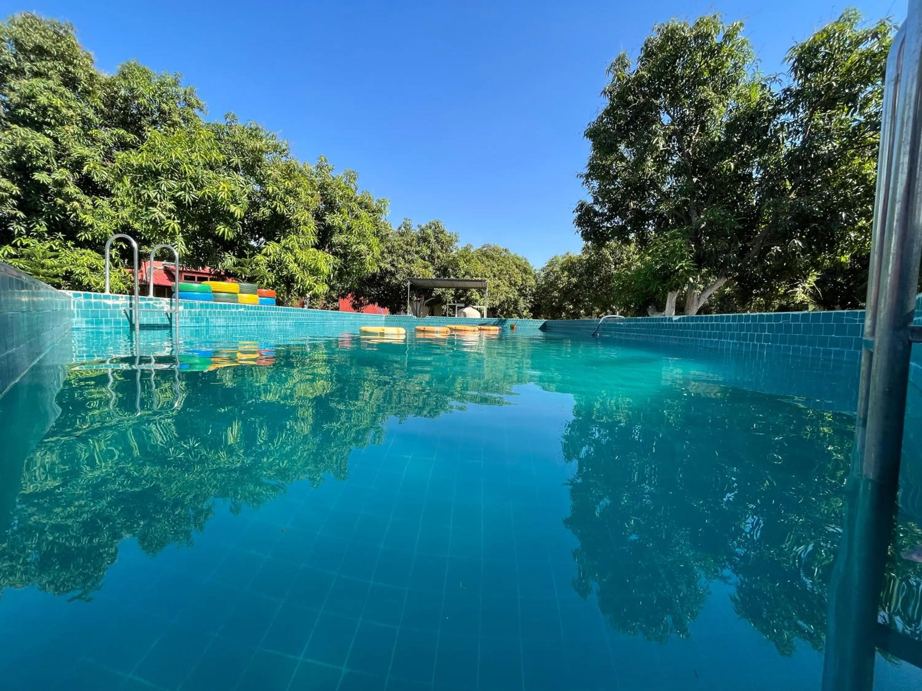 Swimming pool in Amraness Luxury Resort Sasan Gir