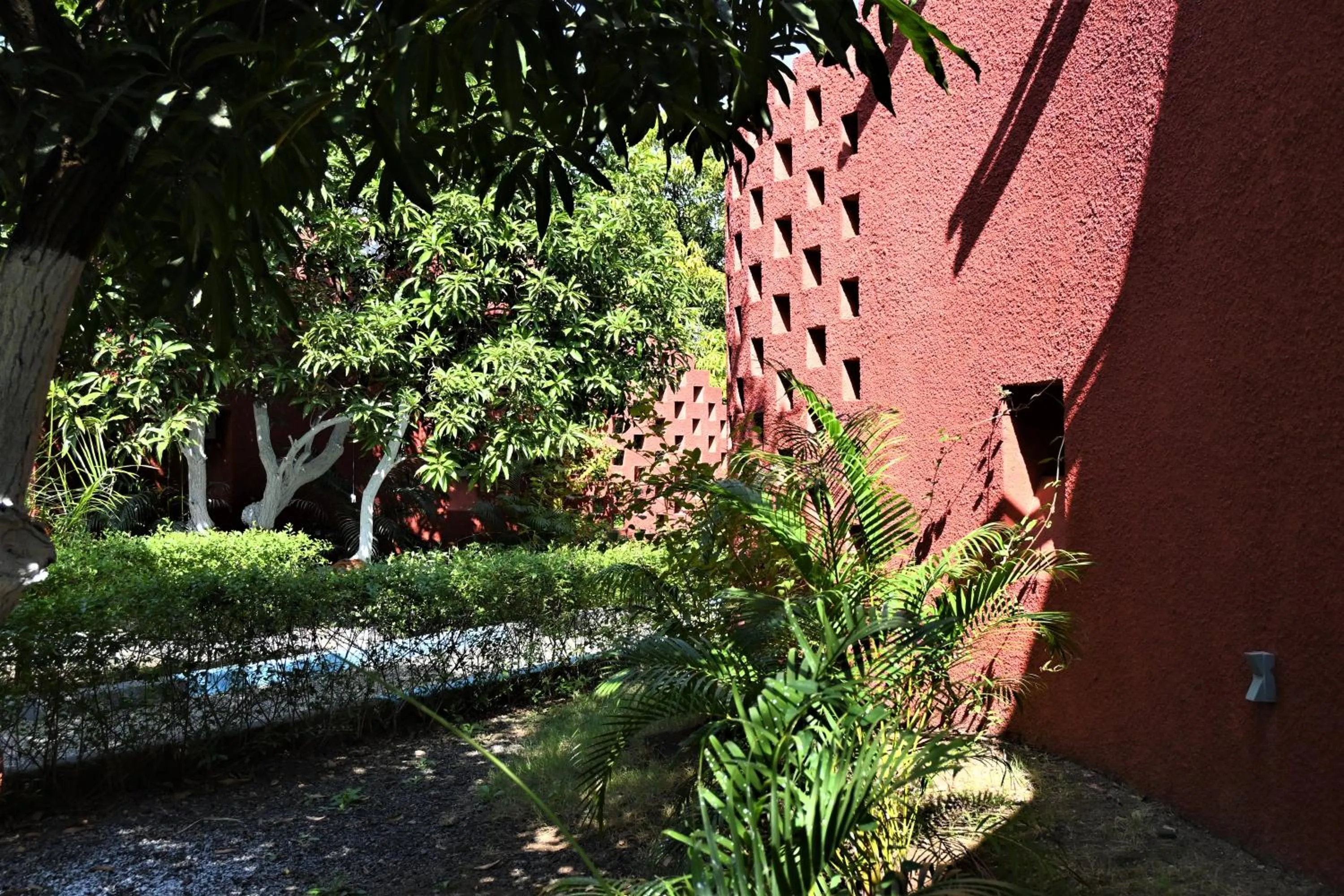 Garden view in Amraness Luxury Resort Sasan Gir