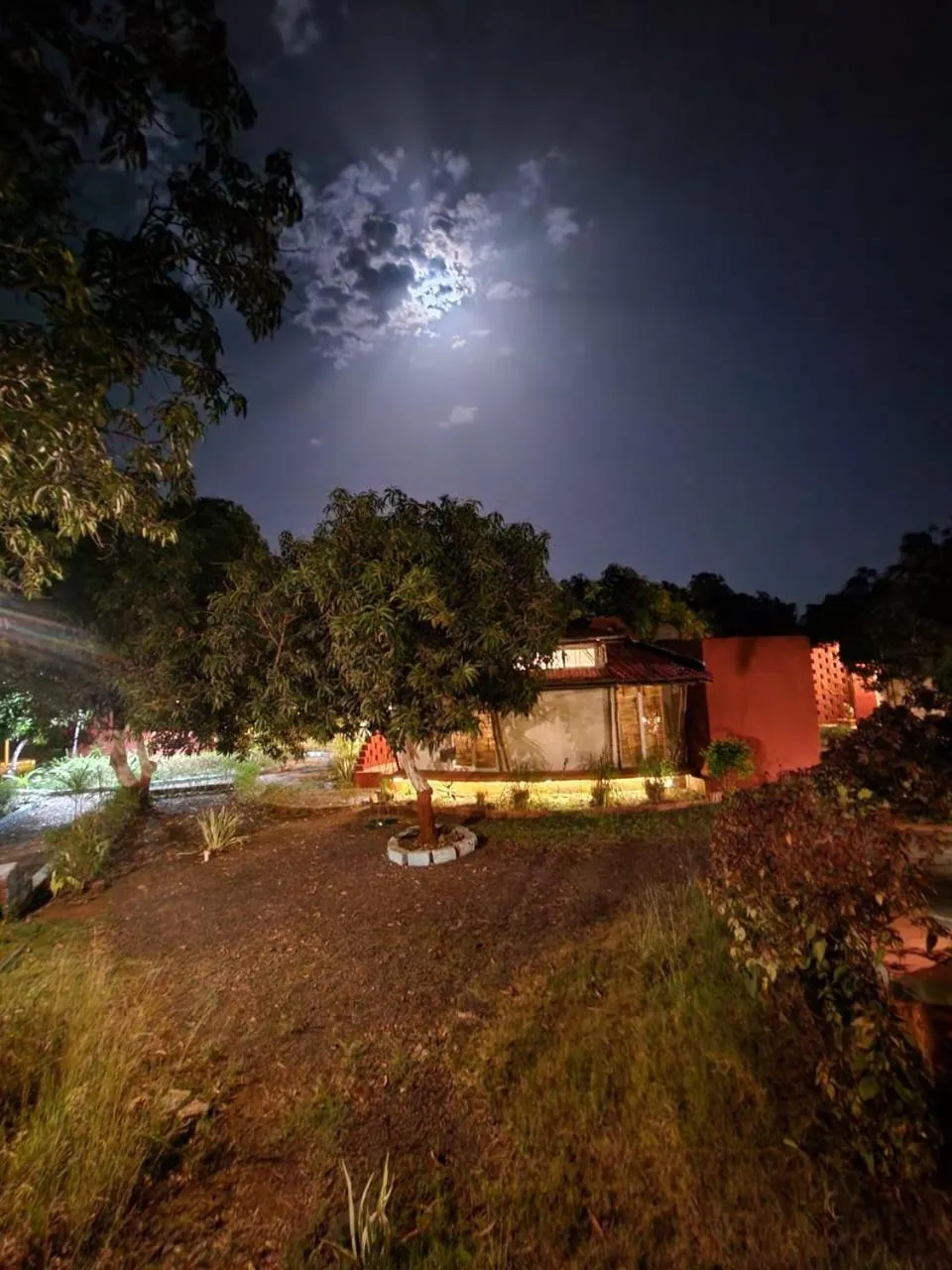 Garden in Amraness Luxury Resort Sasan Gir