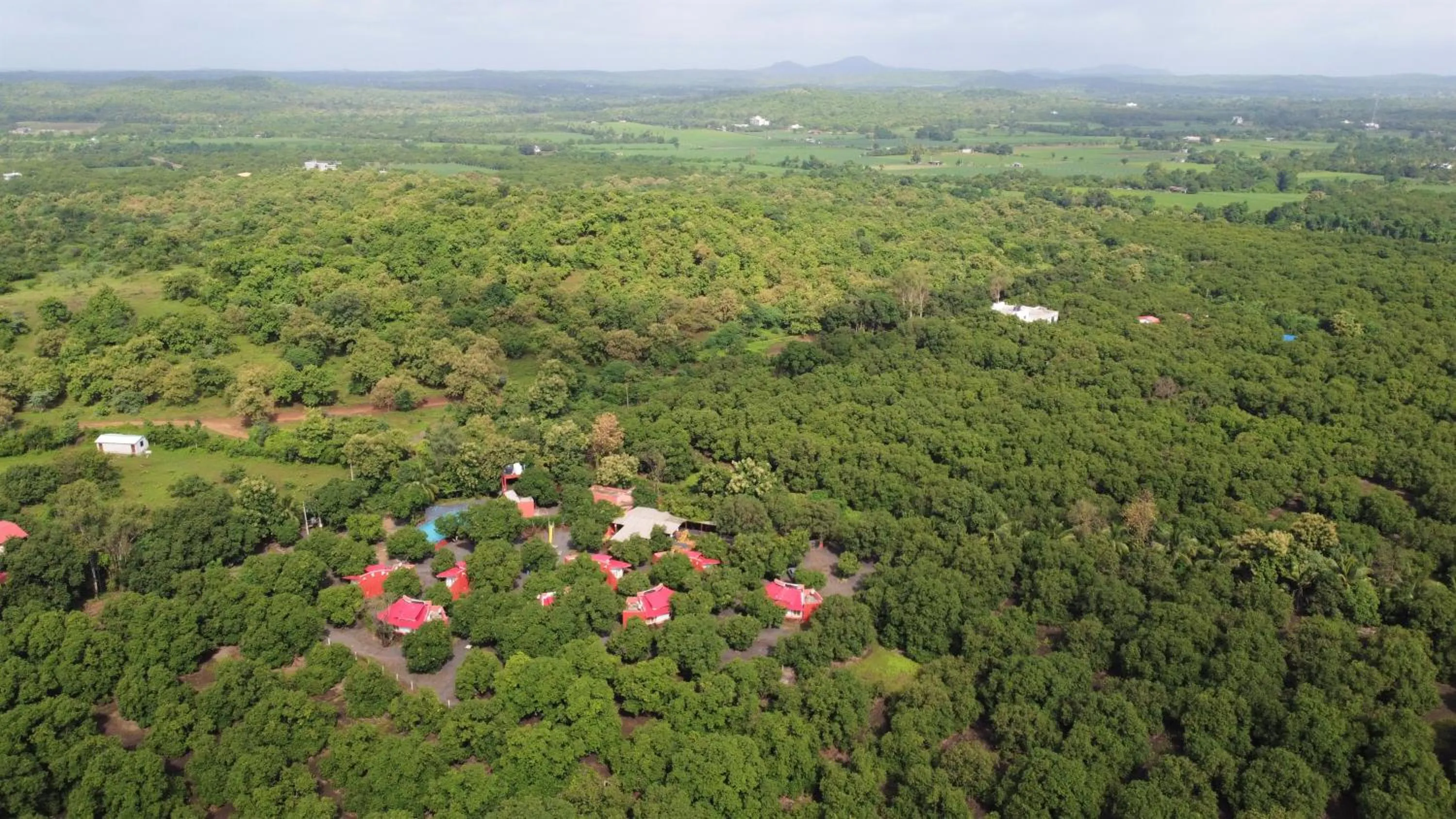 Natural landscape in Amraness Luxury Resort Sasan Gir