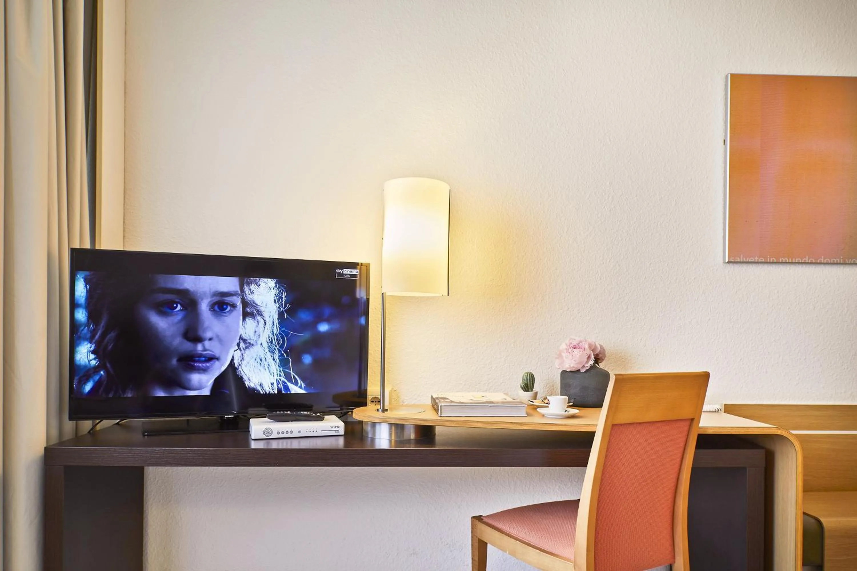 TV and multimedia in Living Place Hotel