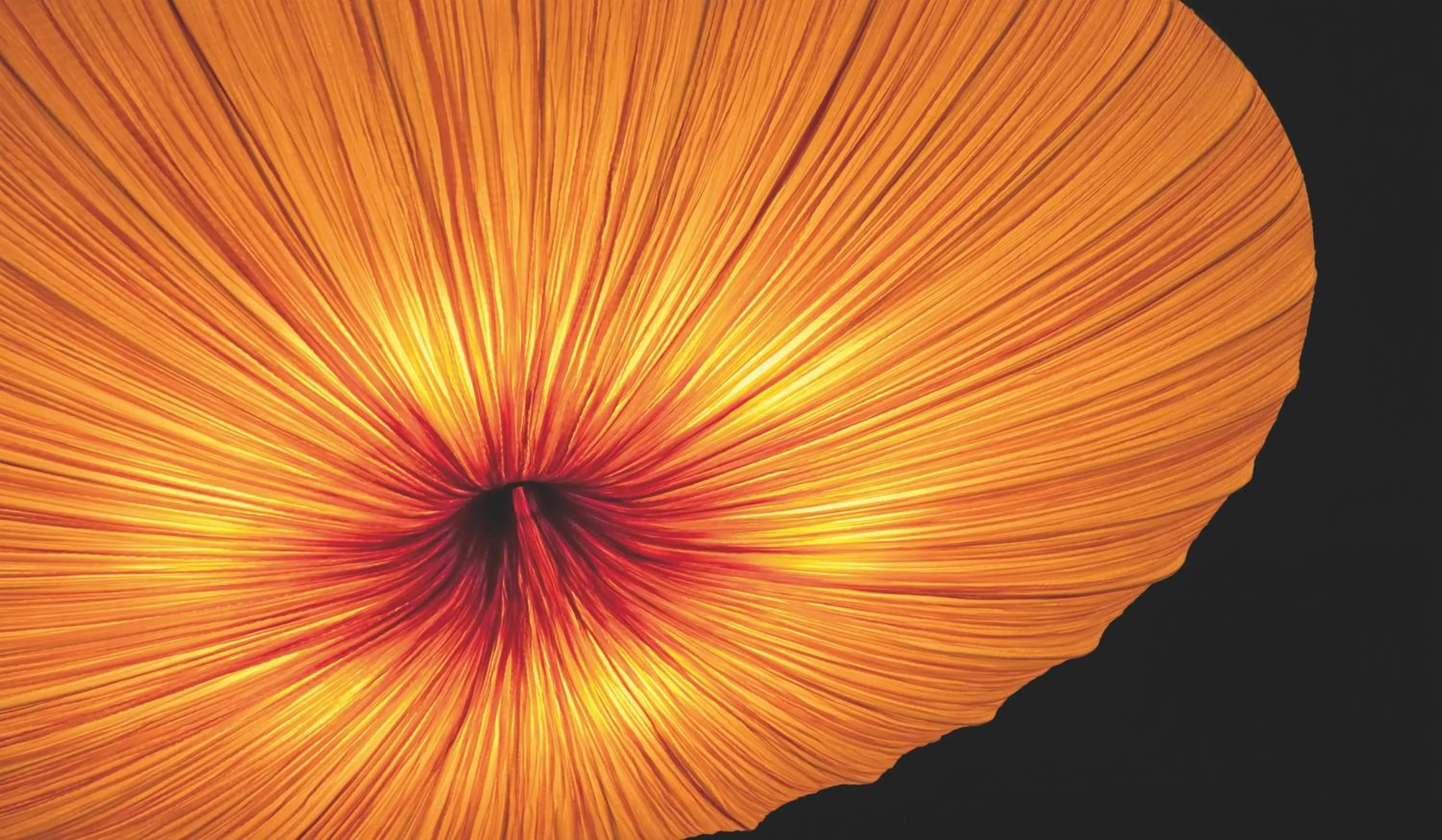 Decorative detail in Hotel Casa Fuster G.L Monumento