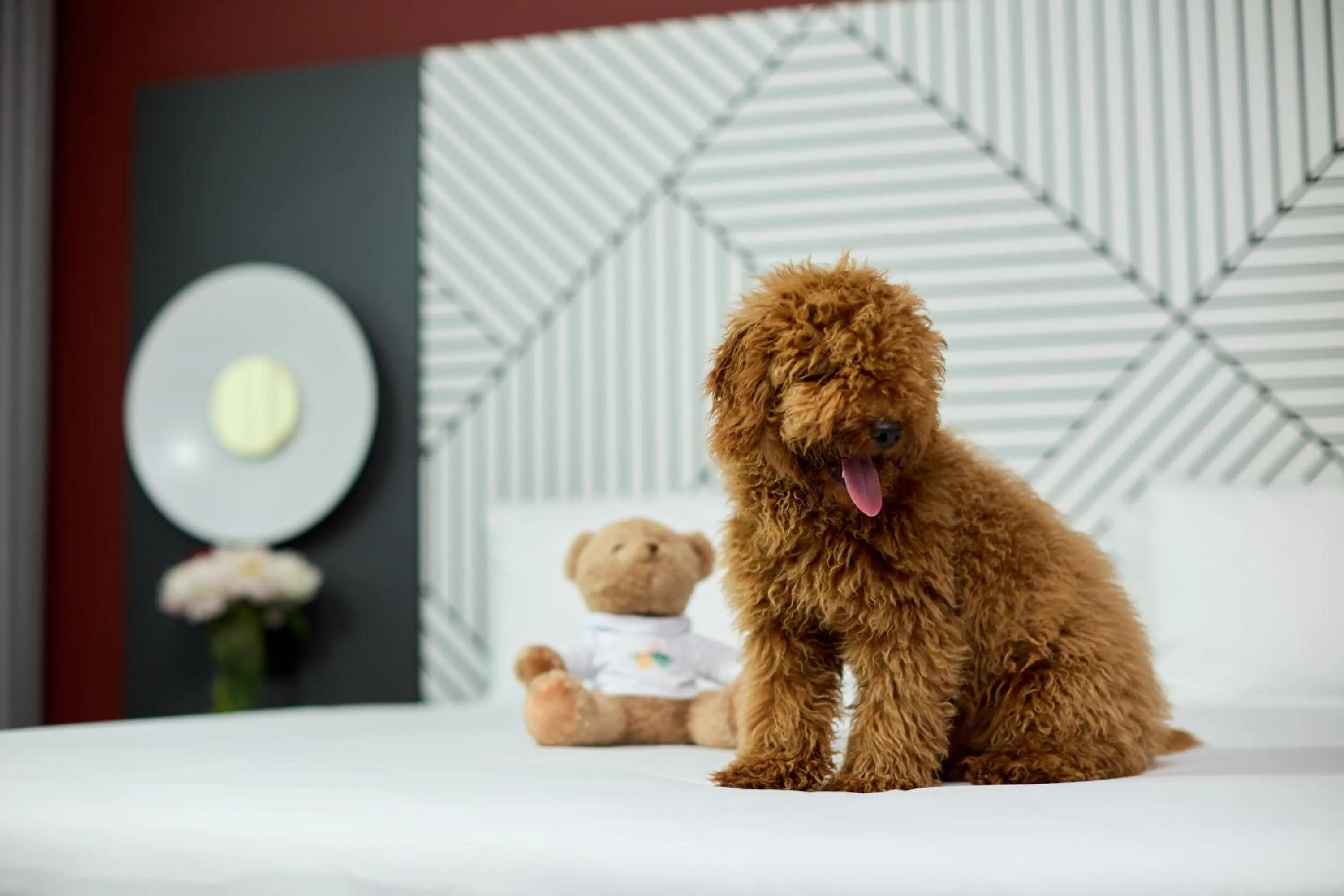 Photo of the whole room in Quark Hotel Milano