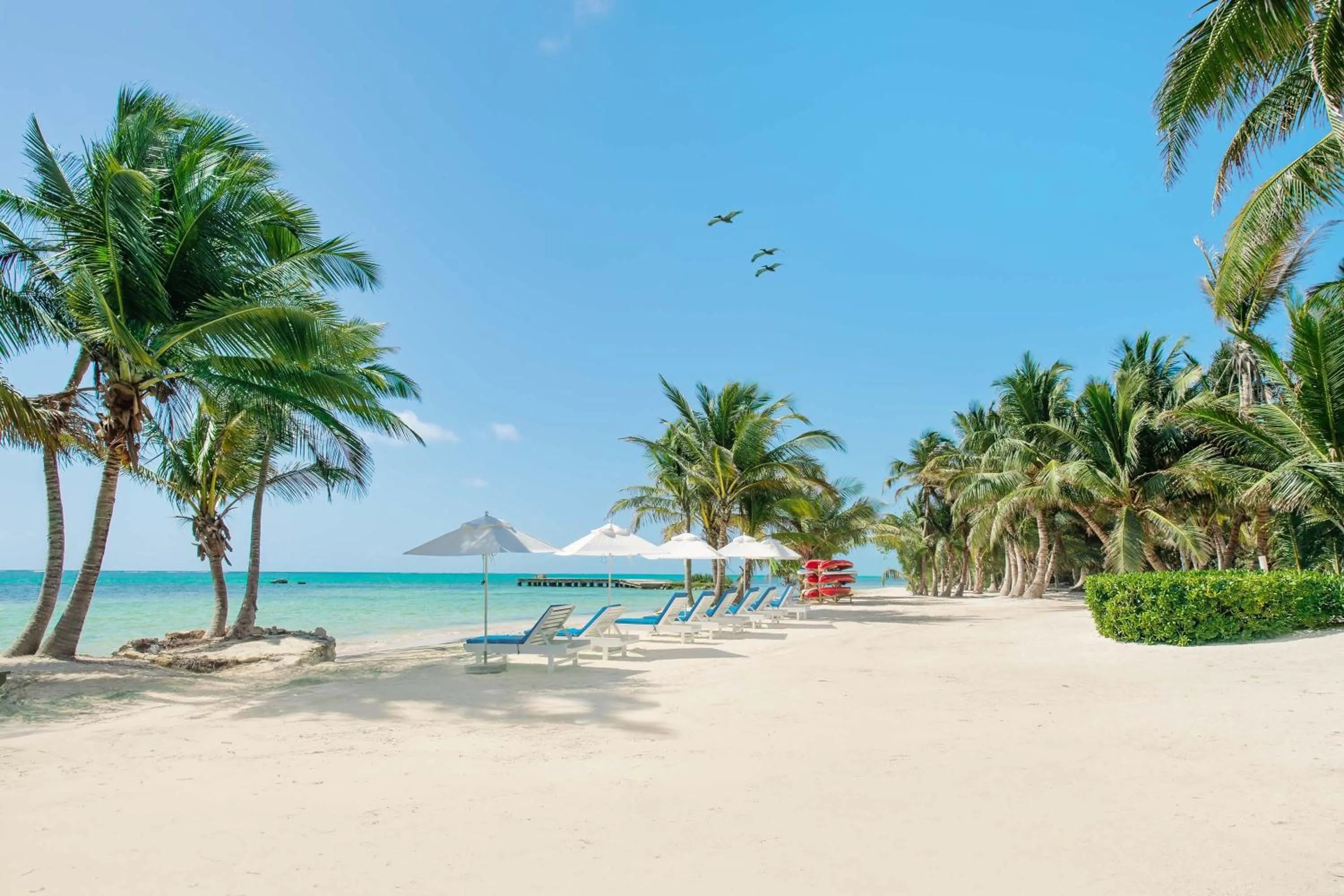 Beach in Reef Haven Belize