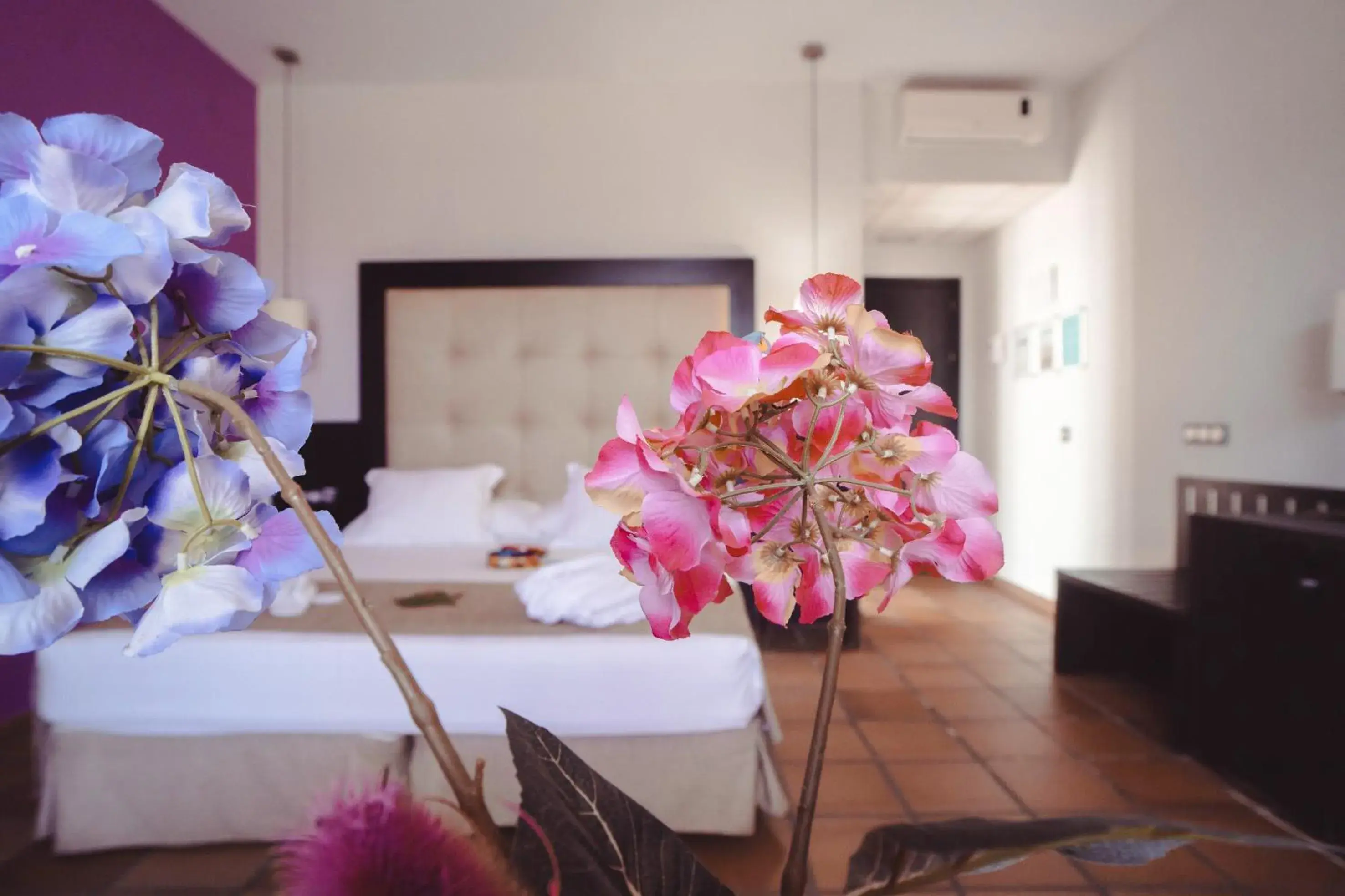 Suite in Hotel Albaida Nature Suite in Hotel Albaida Nature