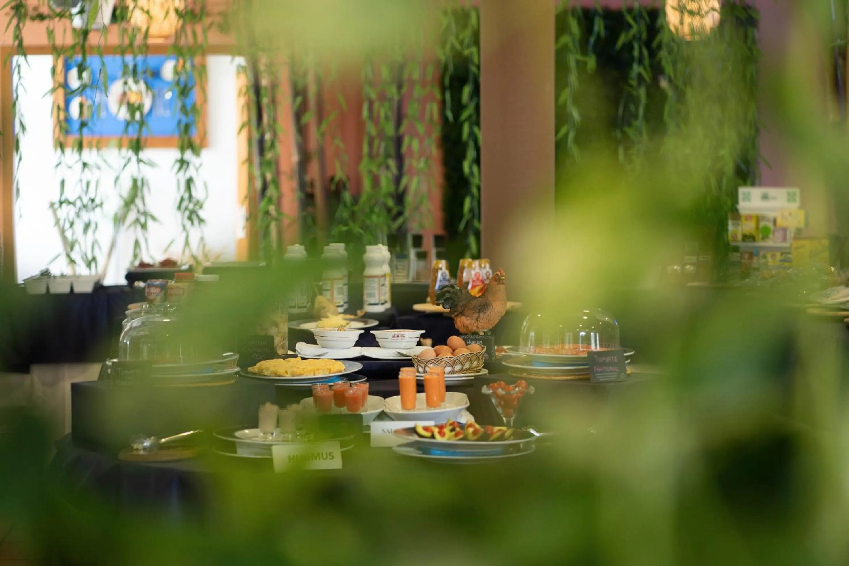 Breakfast in Hotel Albaida Nature