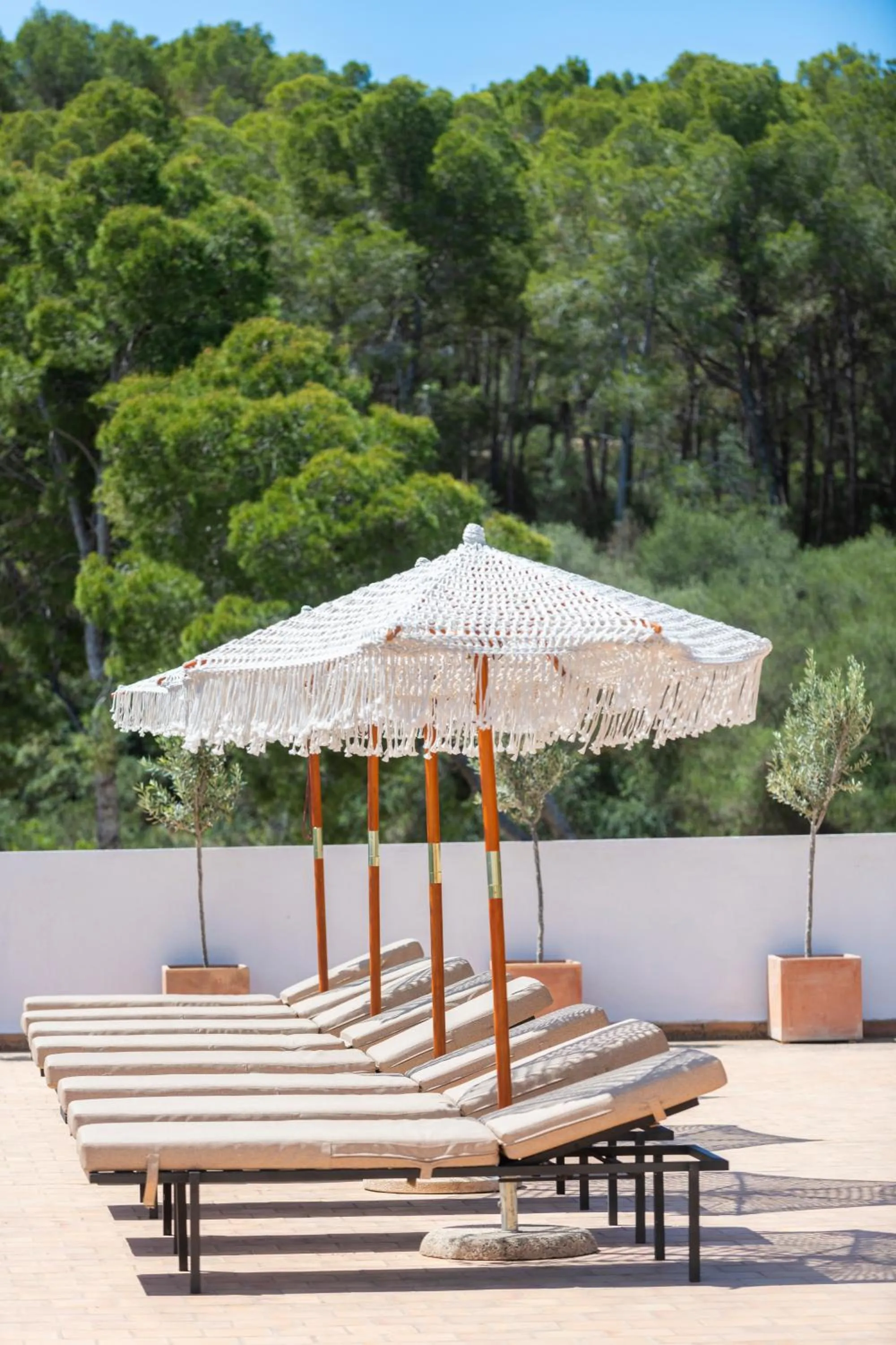 Balcony/Terrace in Hotel Cala Fornells