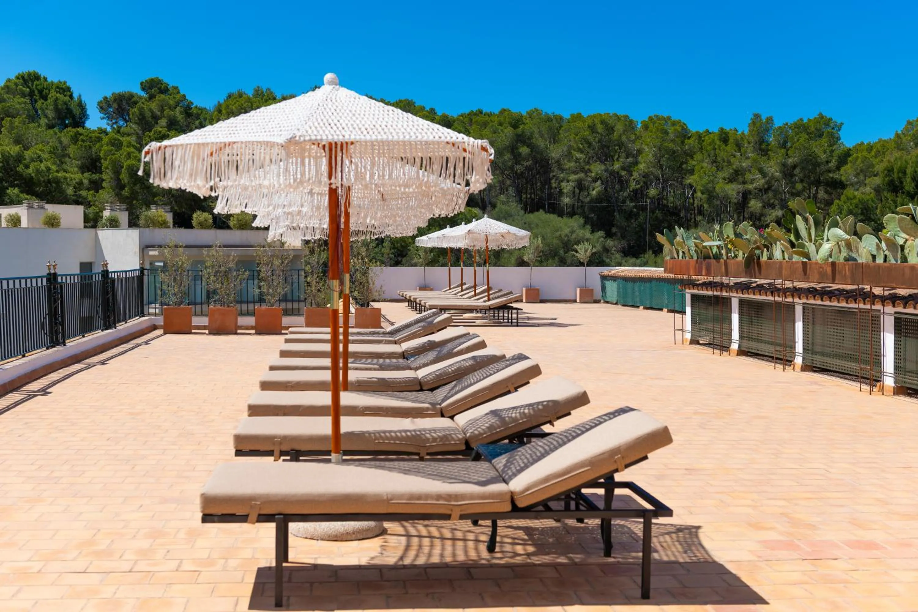 Balcony/Terrace in Hotel Cala Fornells