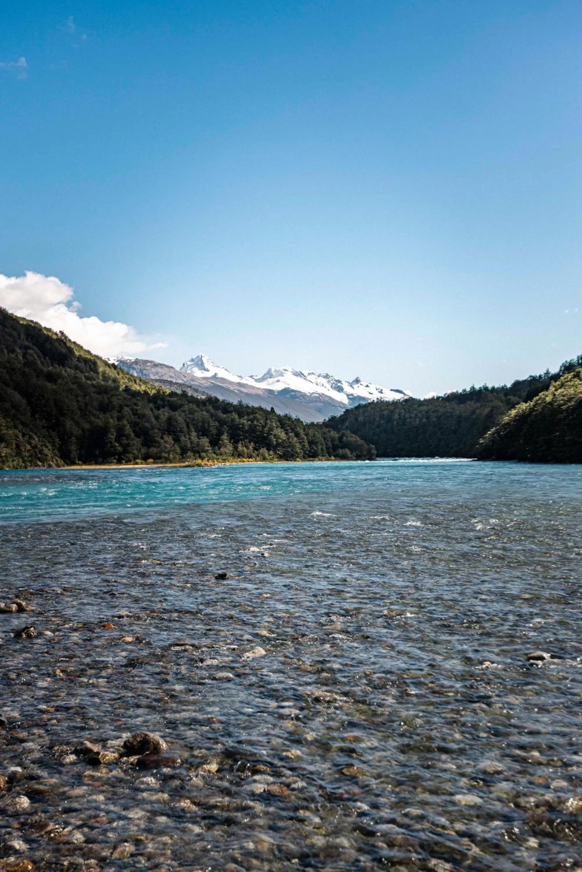 Natural landscape in Green Baker Lodge