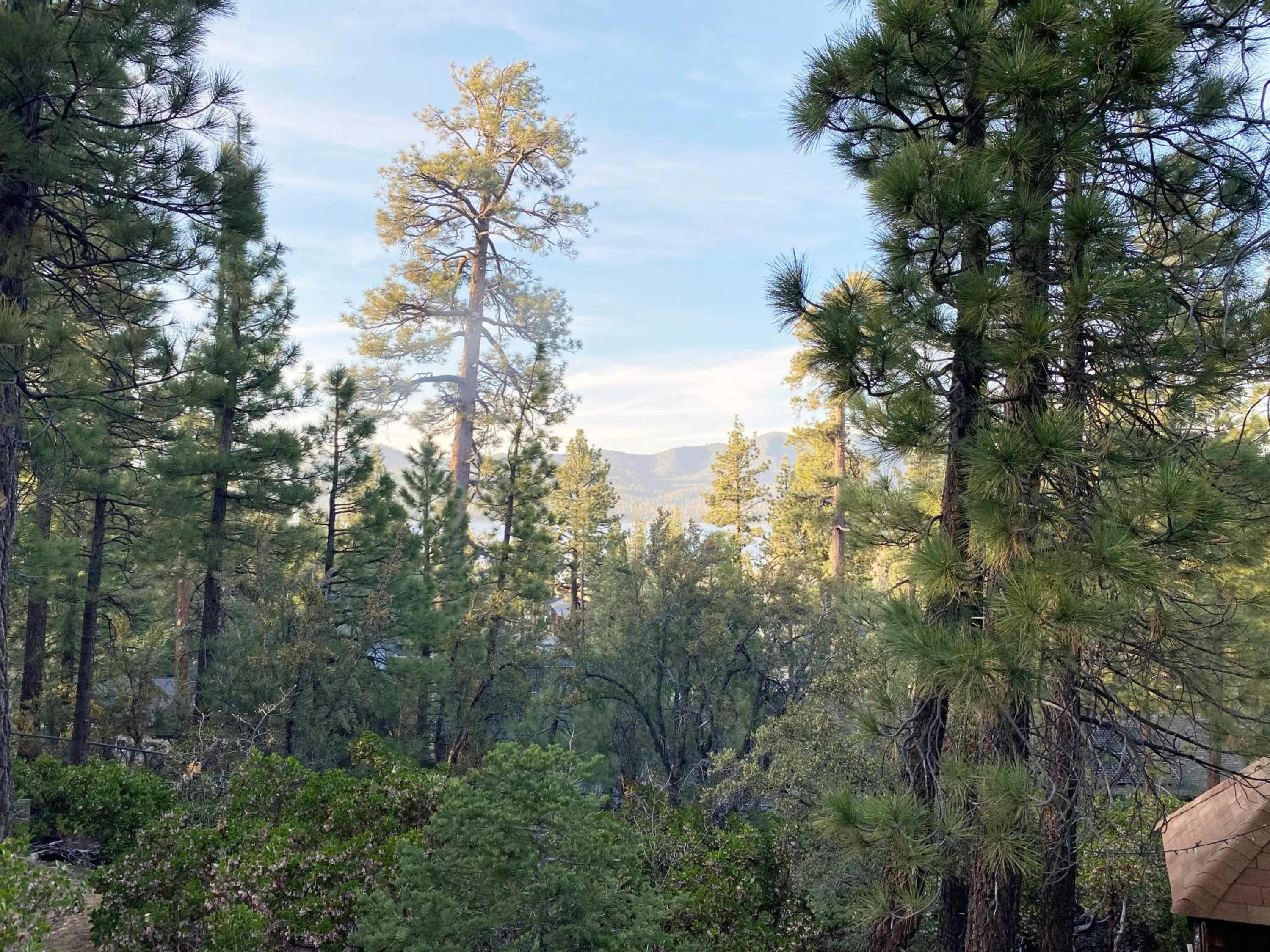 Lake view in ITH Big Bear Lake Hostel & Lodge