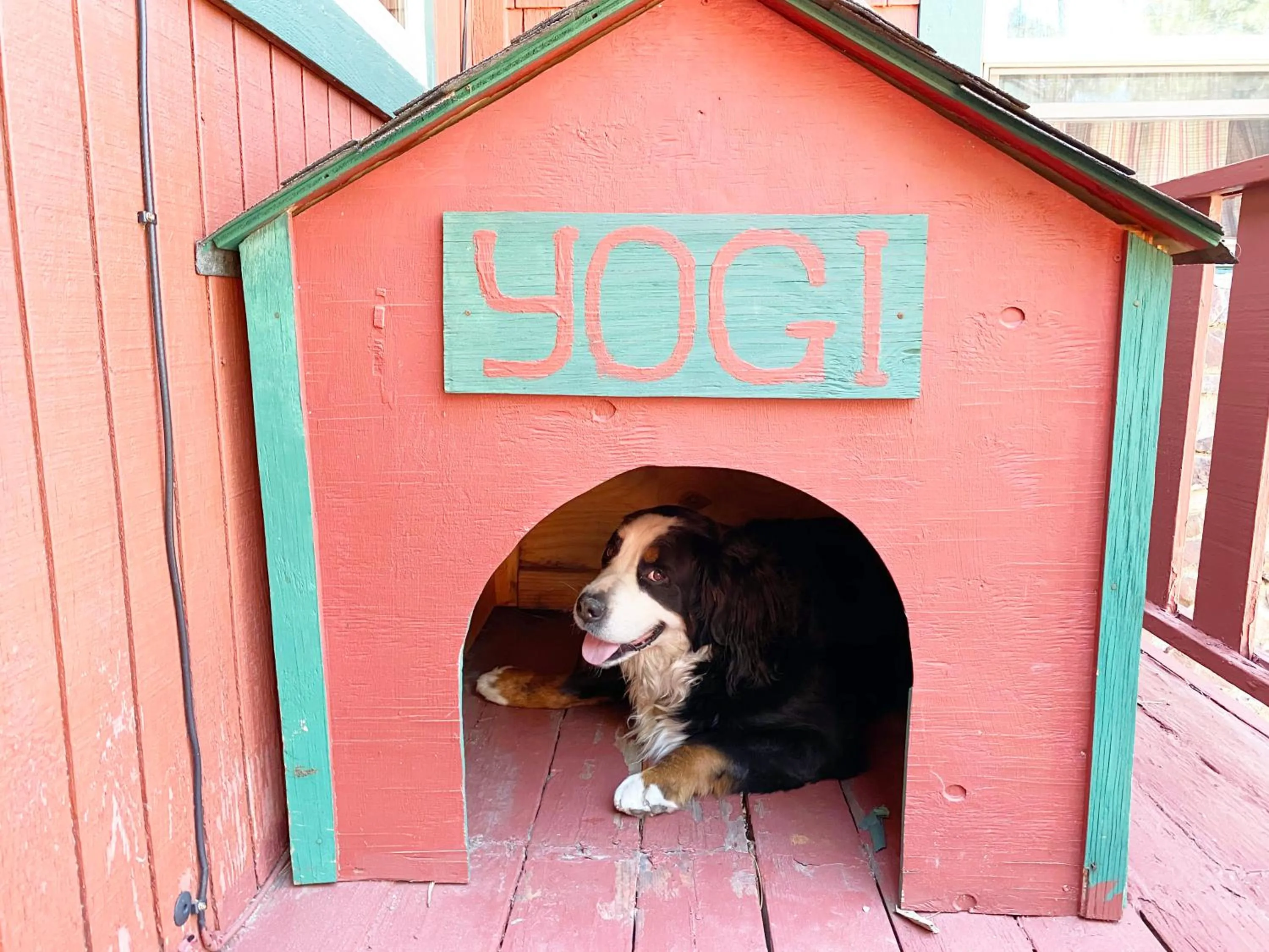 Staff in ITH Big Bear Lake Hostel & Lodge