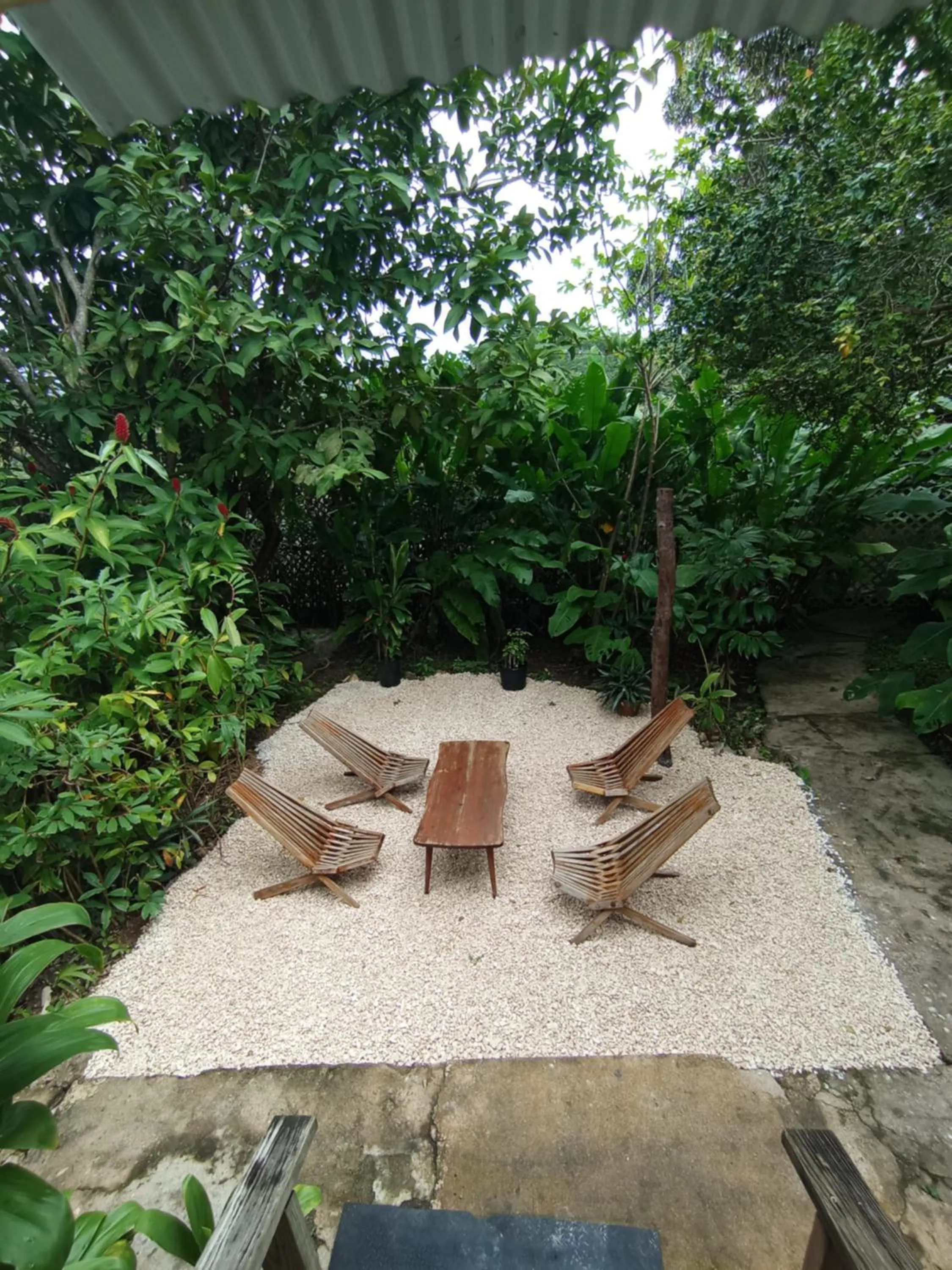 Property building in Maya Mountain Lodge