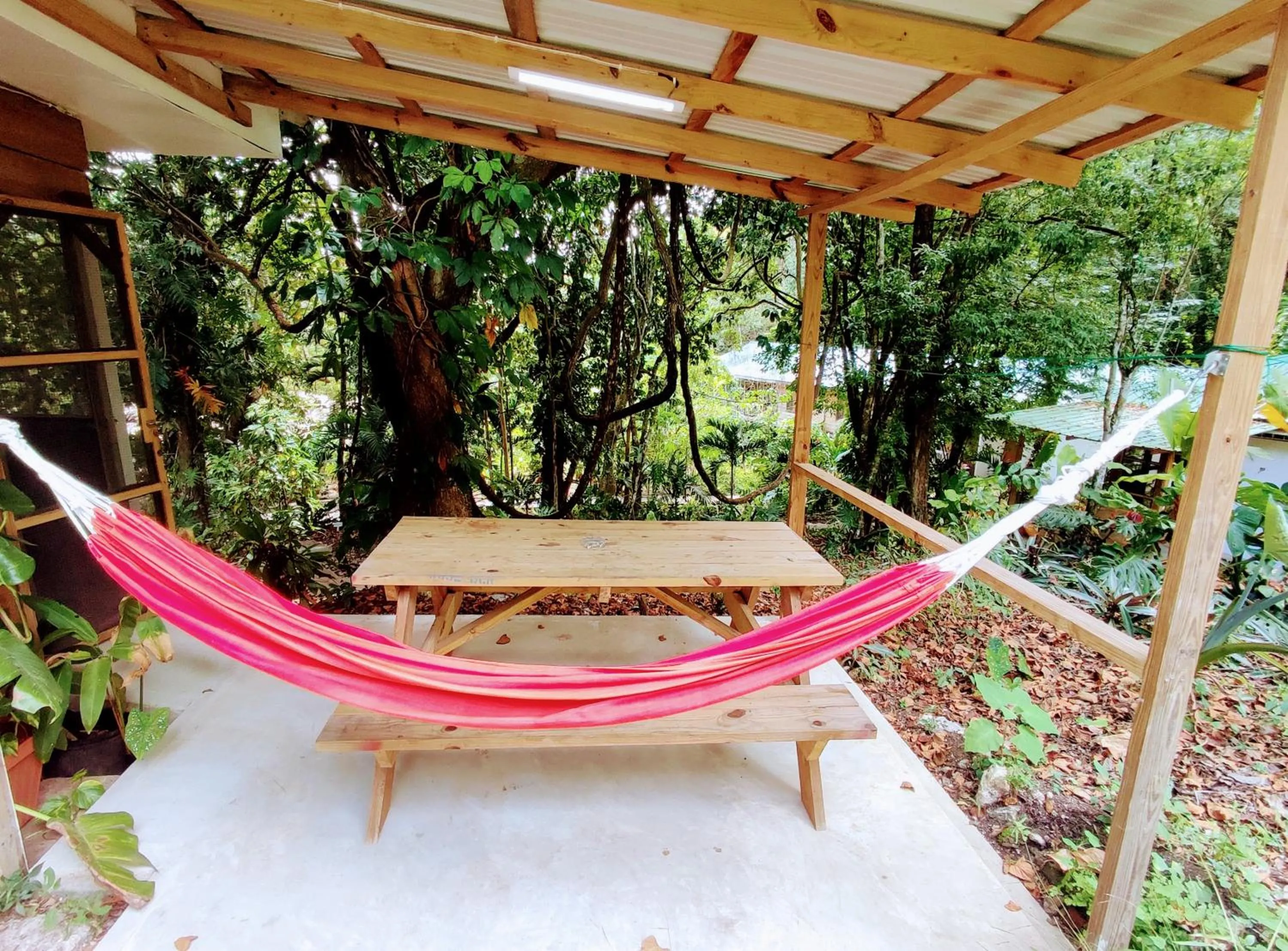 Patio in Maya Mountain Lodge