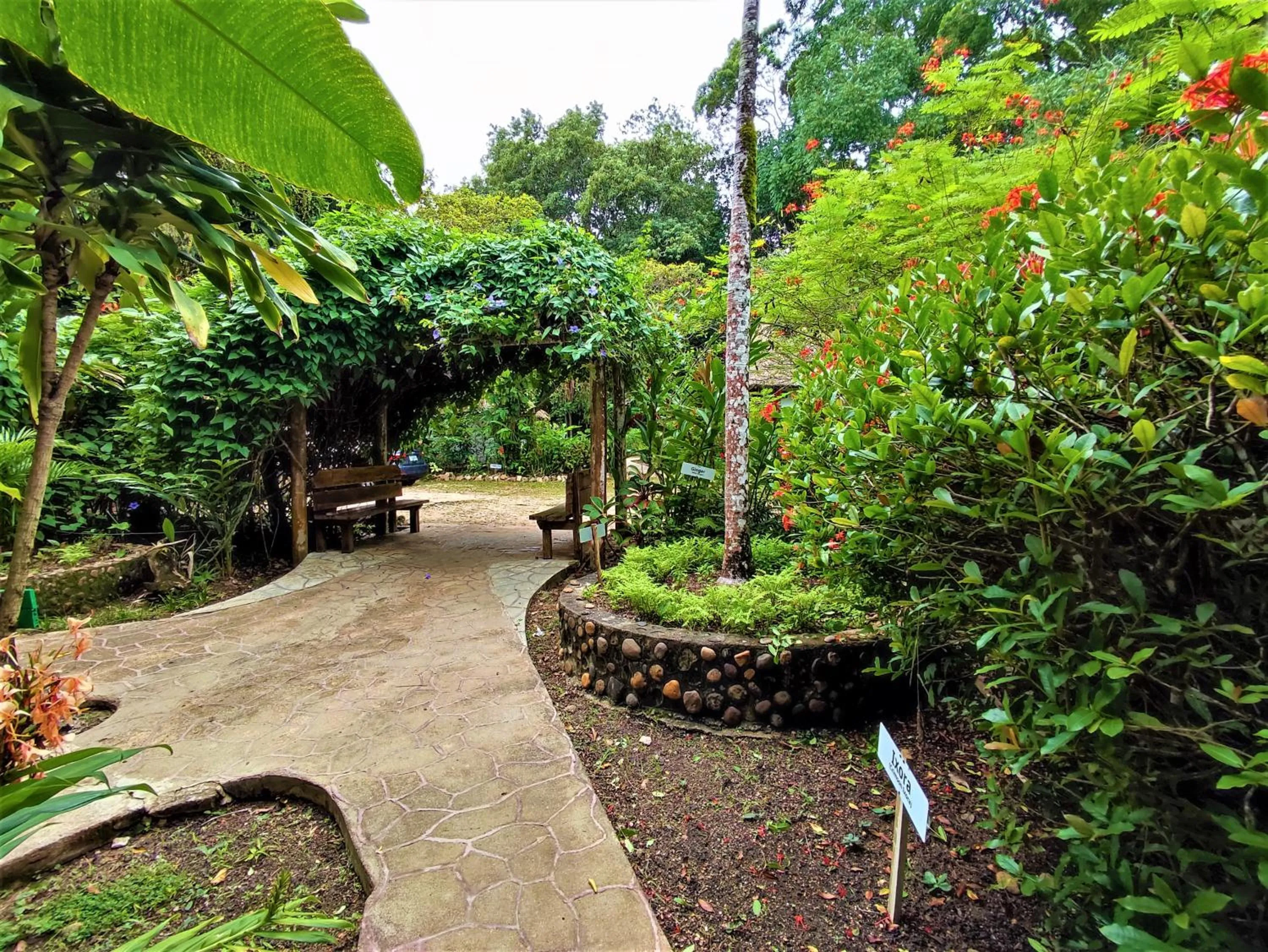 Garden in Maya Mountain Lodge