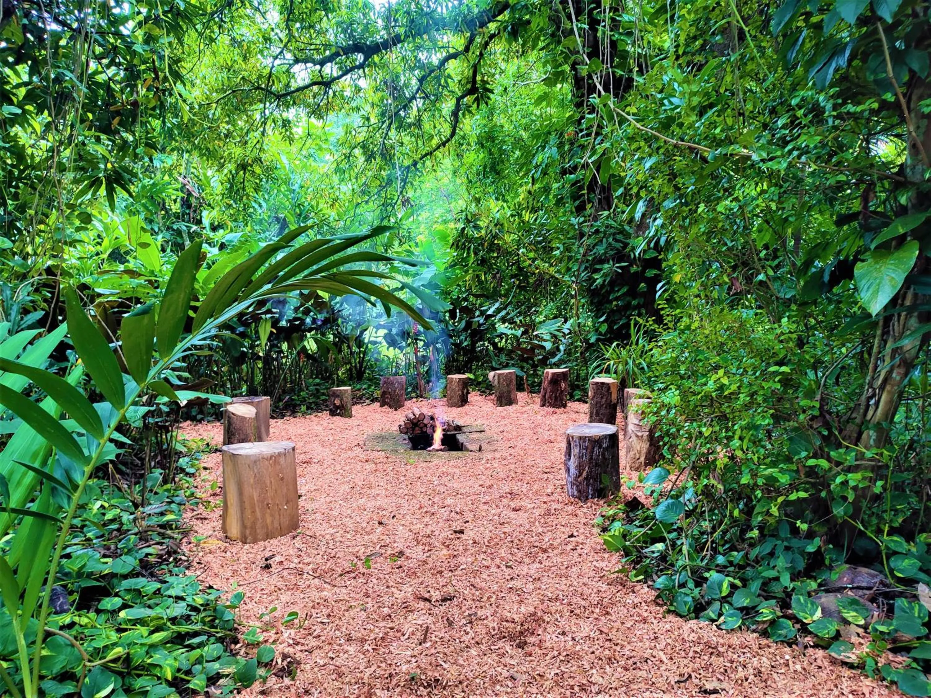 Garden in Maya Mountain Lodge